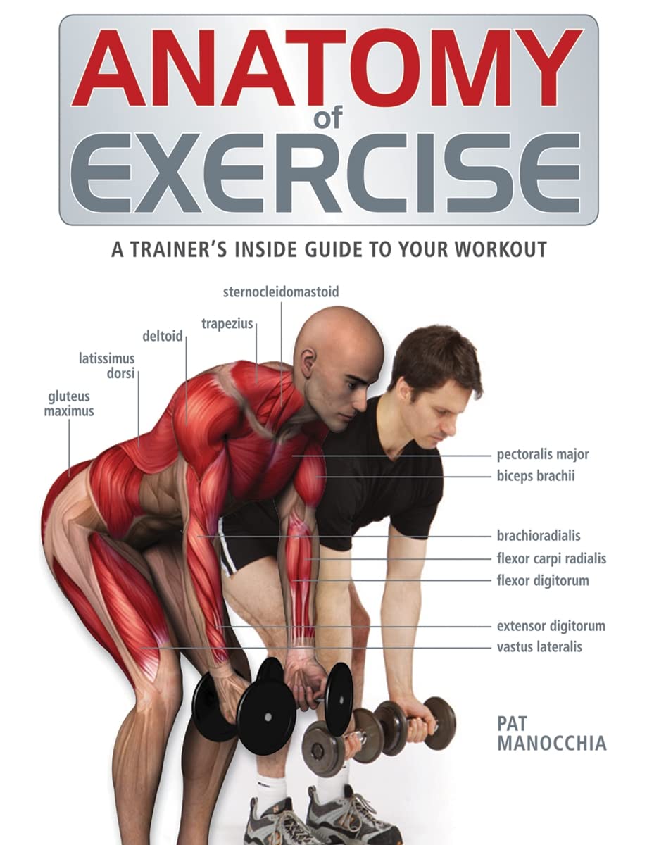 Anatomy of Exercise Medicine