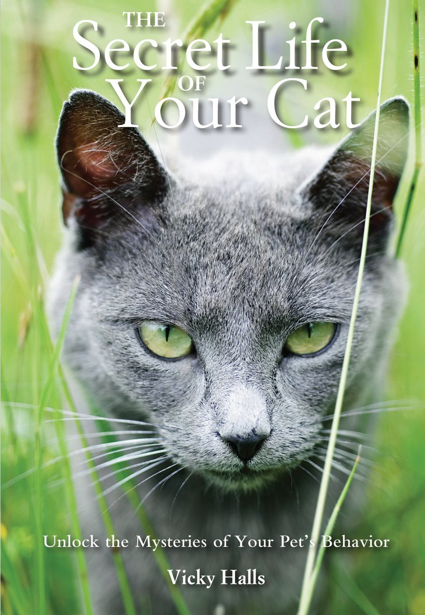 The Secret Life of Your Cat: Unlock the Mysteries of Your Pet's Behavior Pets