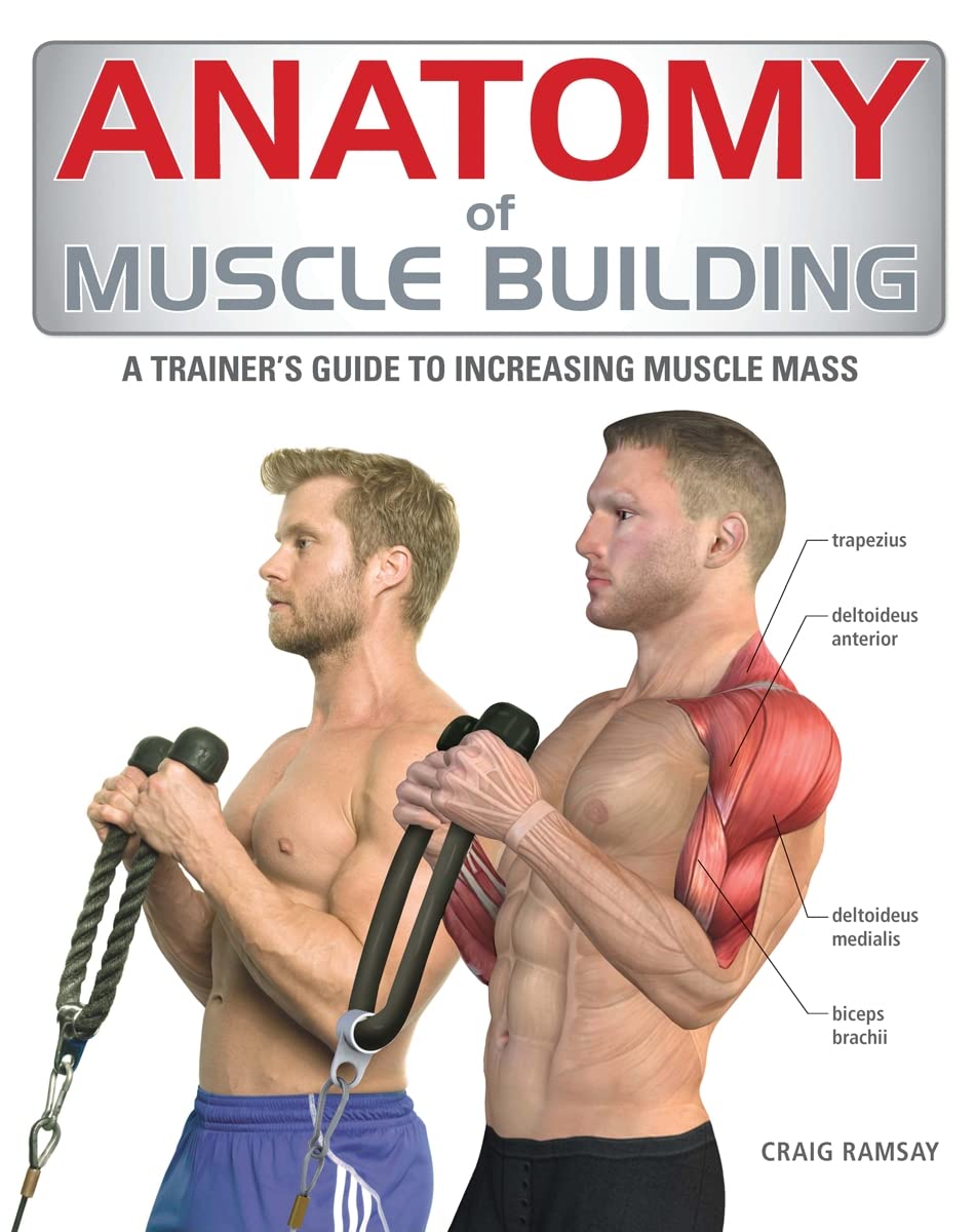 Anatomy of Muscle Building: A Trainer's Guide to Increasing Muscle Mass Medicine