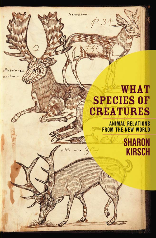 What Species Of Creatures: Animal Relations from the New World Mathematics