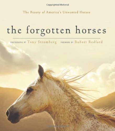 Forgotten Horses: Discovering the Beauty of North America's Abandoned Equines Social Sciences