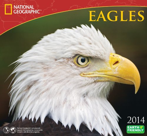 Product Image: National Geographic Eagles 2014 Calendar