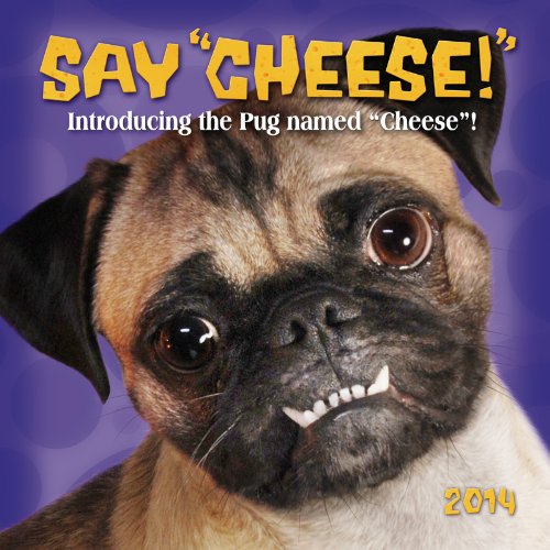 Product Image: Cheese the Pug 2014 Calendar