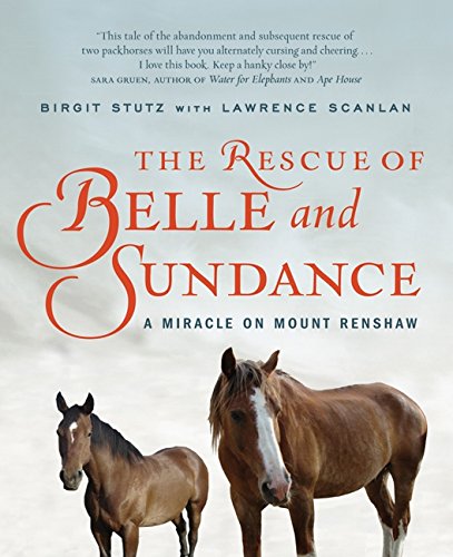 The Rescue Of Belle And Sundance Mathematics