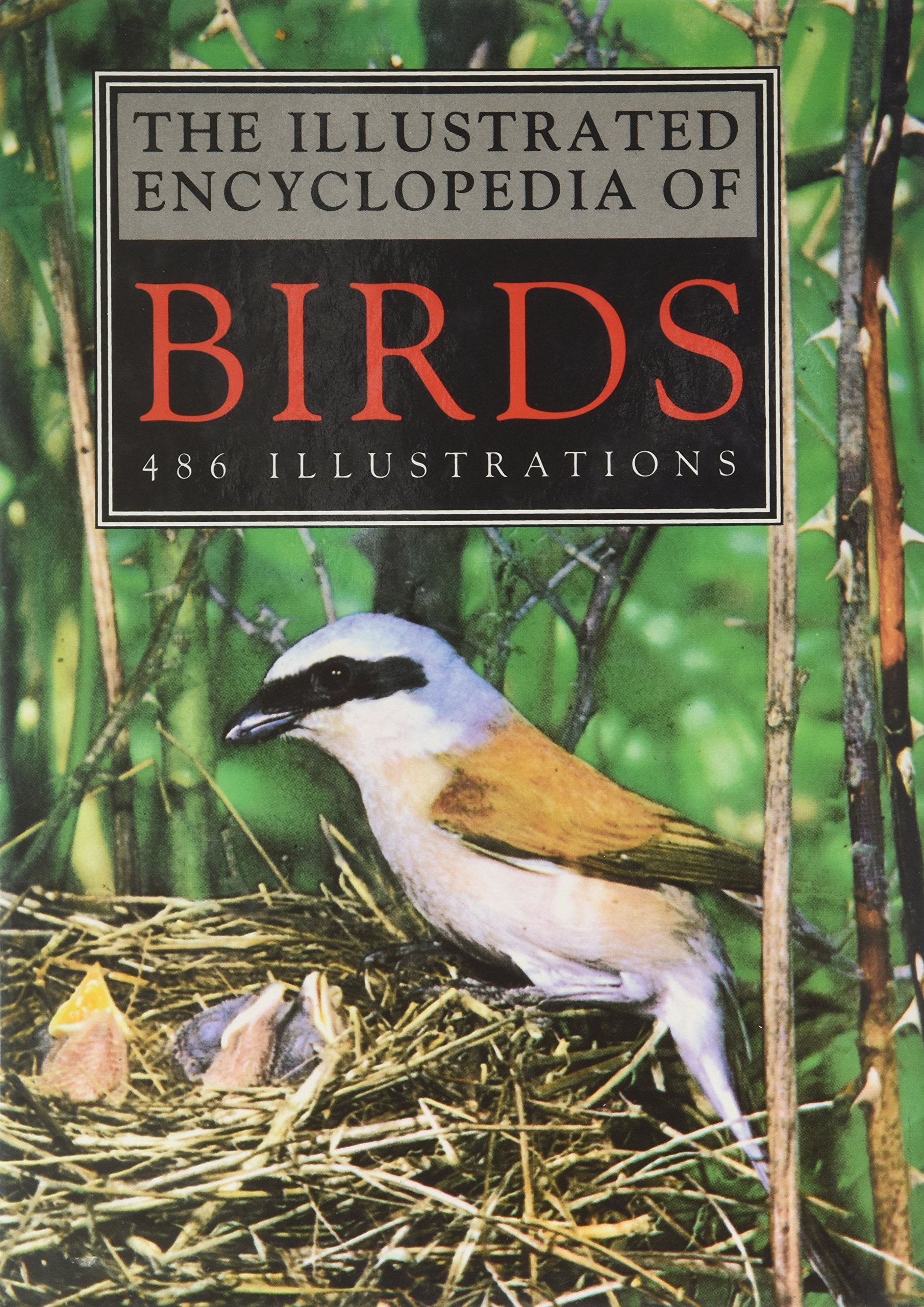 The Illustrated Encyclopedia of Birds Books