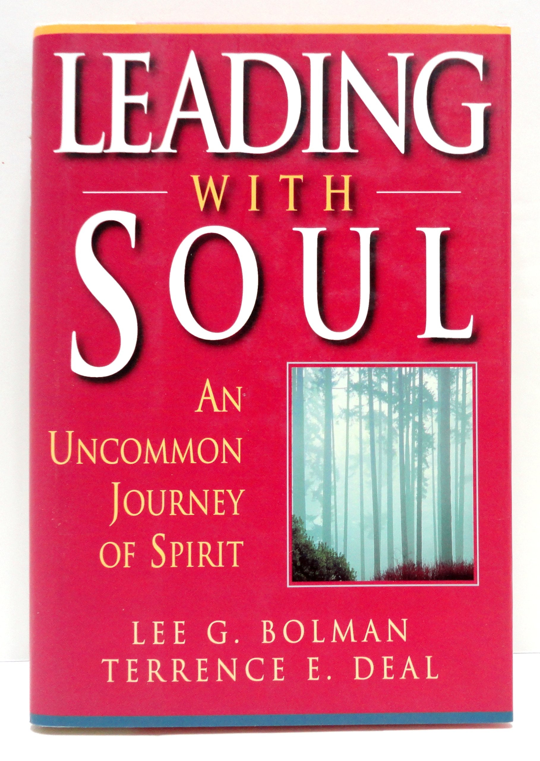 Leading with Soul: An Uncommon Journey of Spirit Business, Finance & Career