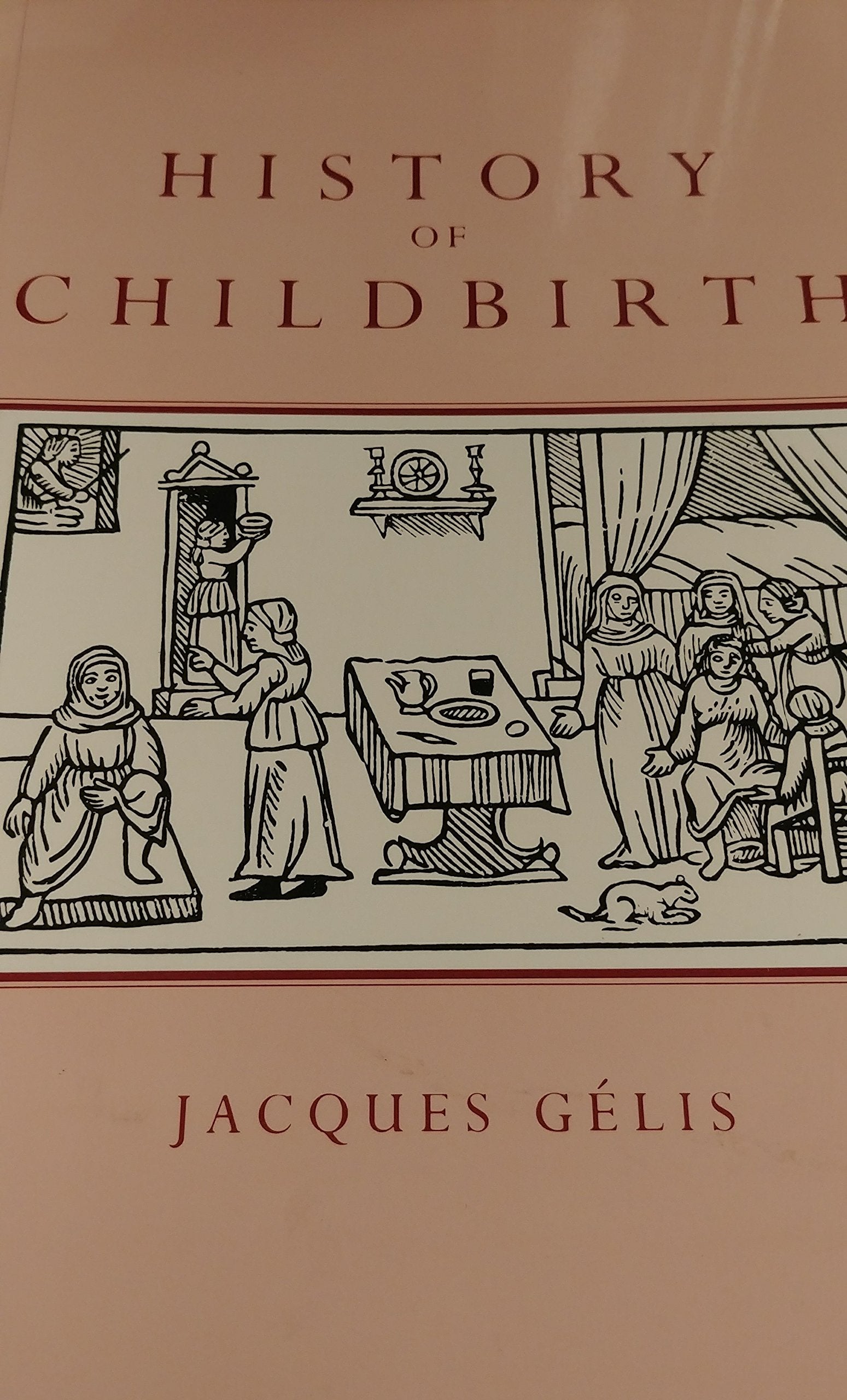 History of Childbirth: Fertility, Pregnancy, and Birth in Early Modern Europe Politics & History