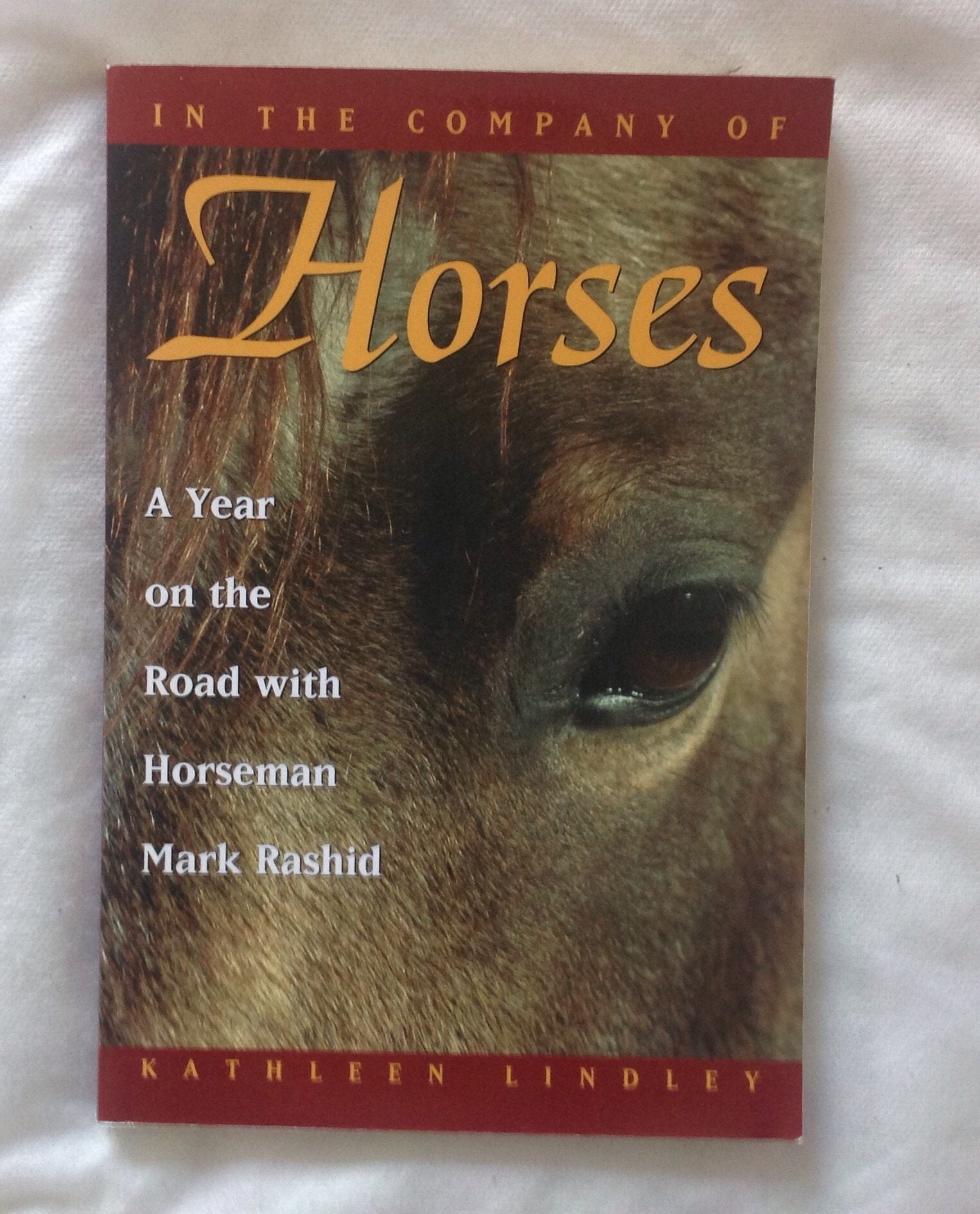 In the Company of Horses: A Year on the Road With Horseman Mark Rashid Memories