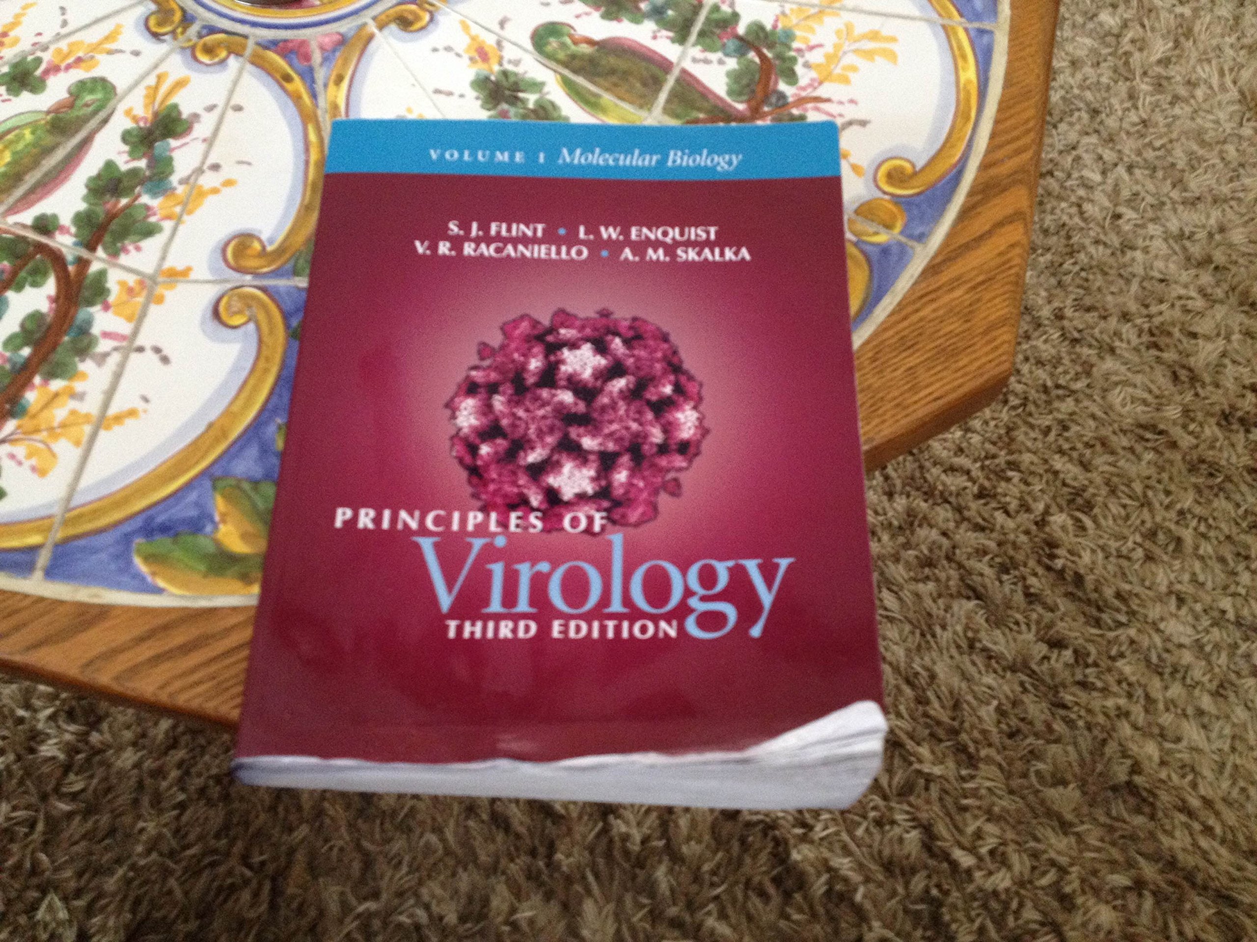 Principles of Virology: Volume I: Molecular Biology: Volume 1: Molecular Biology Natural Sciences