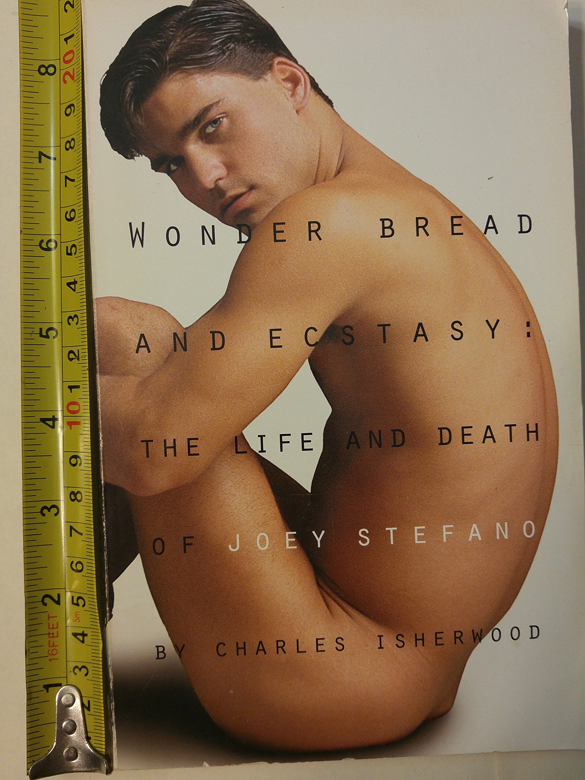 Wonder Bread and Ecstasy: The Life and Death of Joey Stefano Books