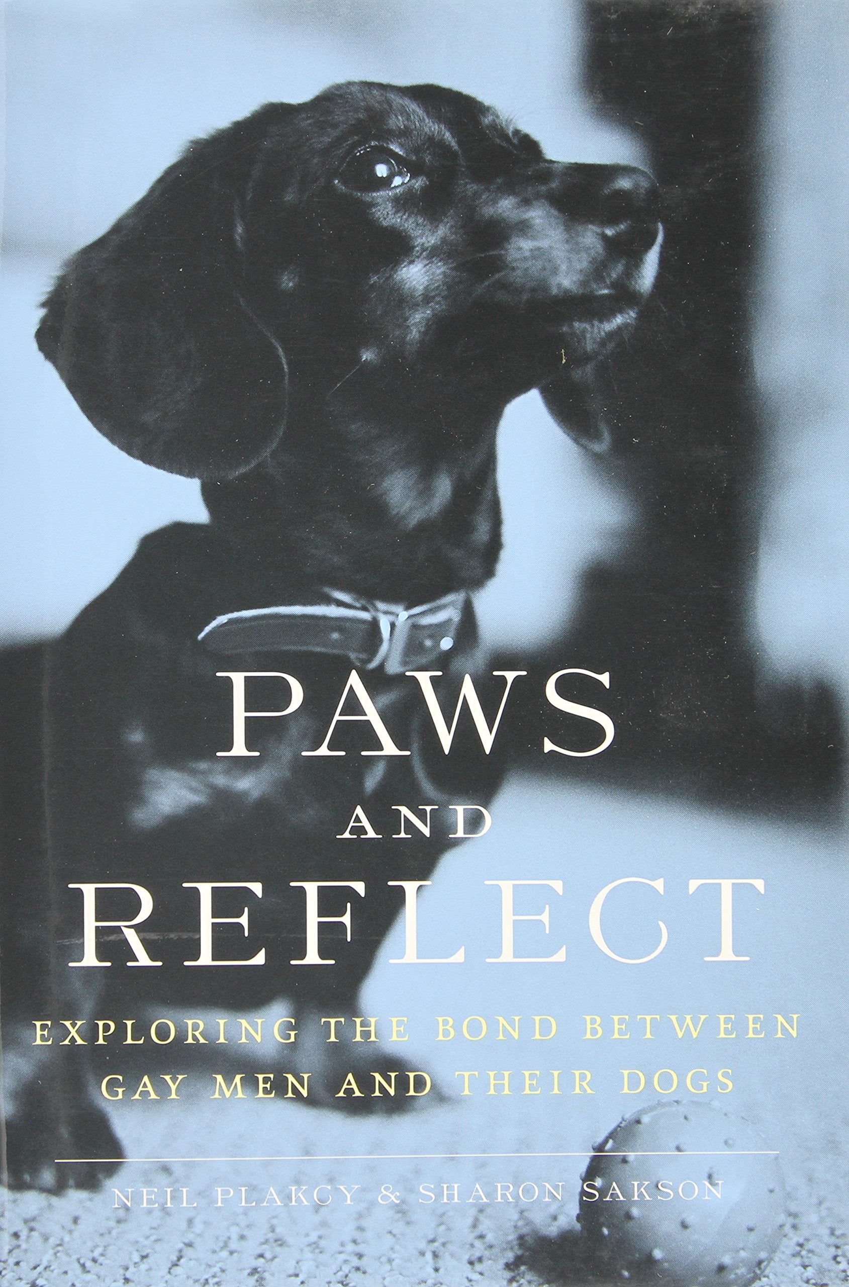 Paws And Reflect: Exploring the Bond Between Gay Men And Their Dogs book