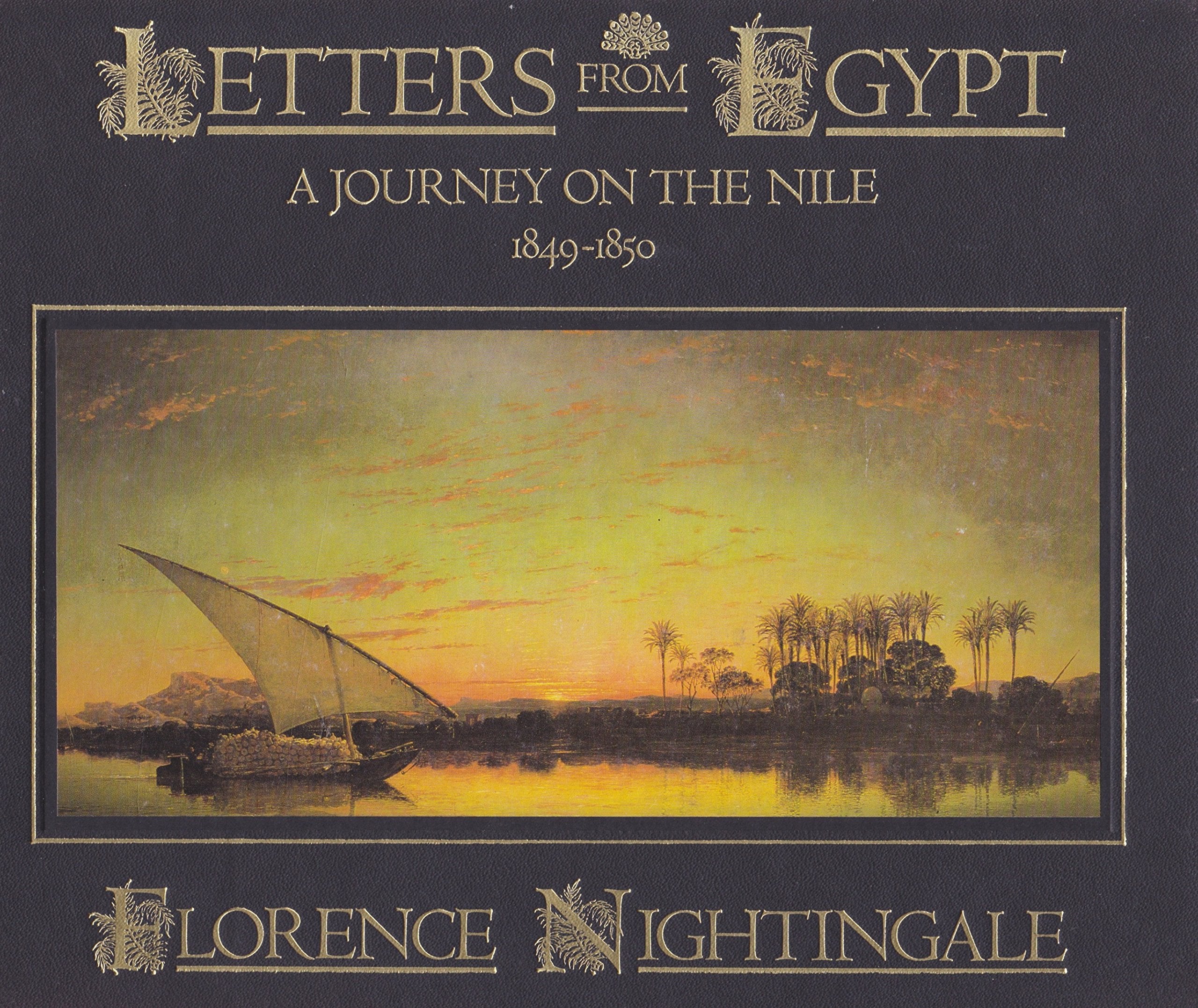 Letters from Egypt: A journey on the Nile, 1849-1850 Politics & History