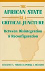 The African State at a Critical Juncture Politics & History