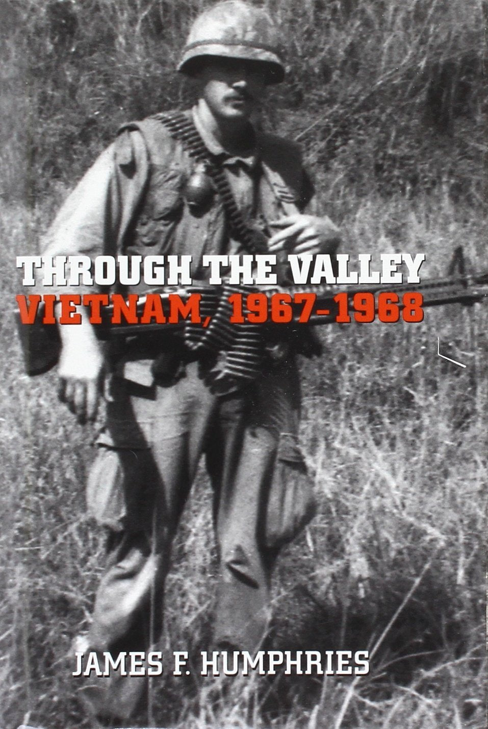 Through the Valley: Vietnam, 1967-1968 book