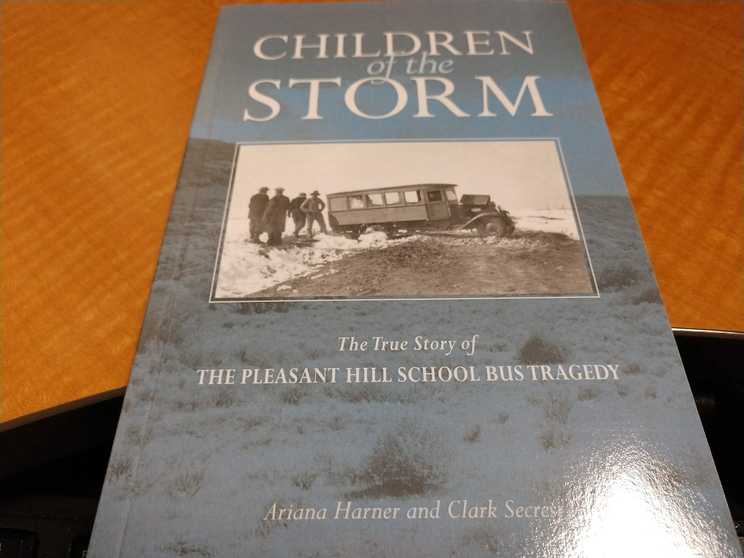 Children of the Storm: The True Story of the Pleasant Hill School Bus Tragedy Politics & History