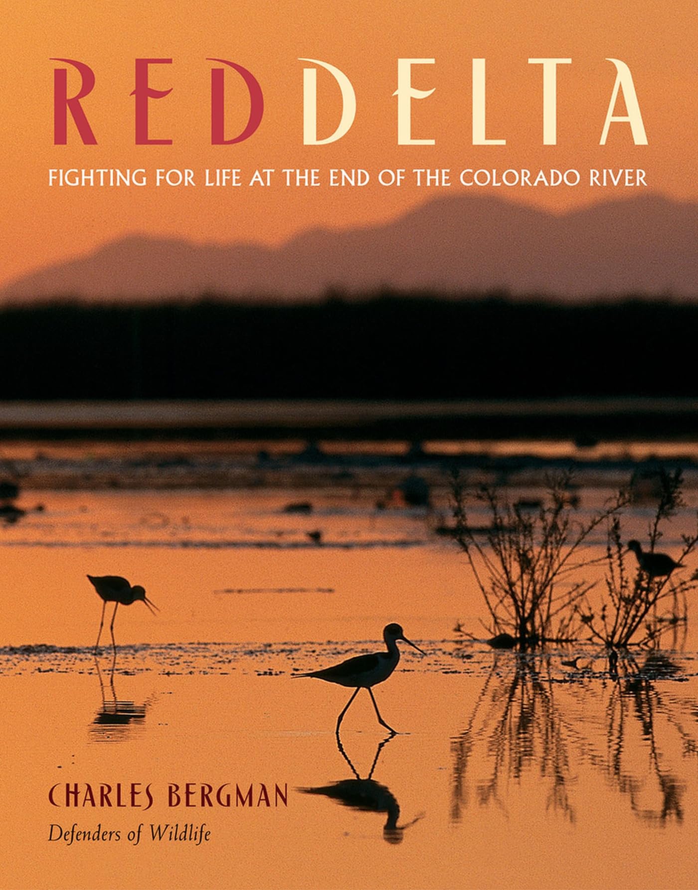 Red Delta: Fighting for Life at the End of the Colorado River Business, Finance & Career