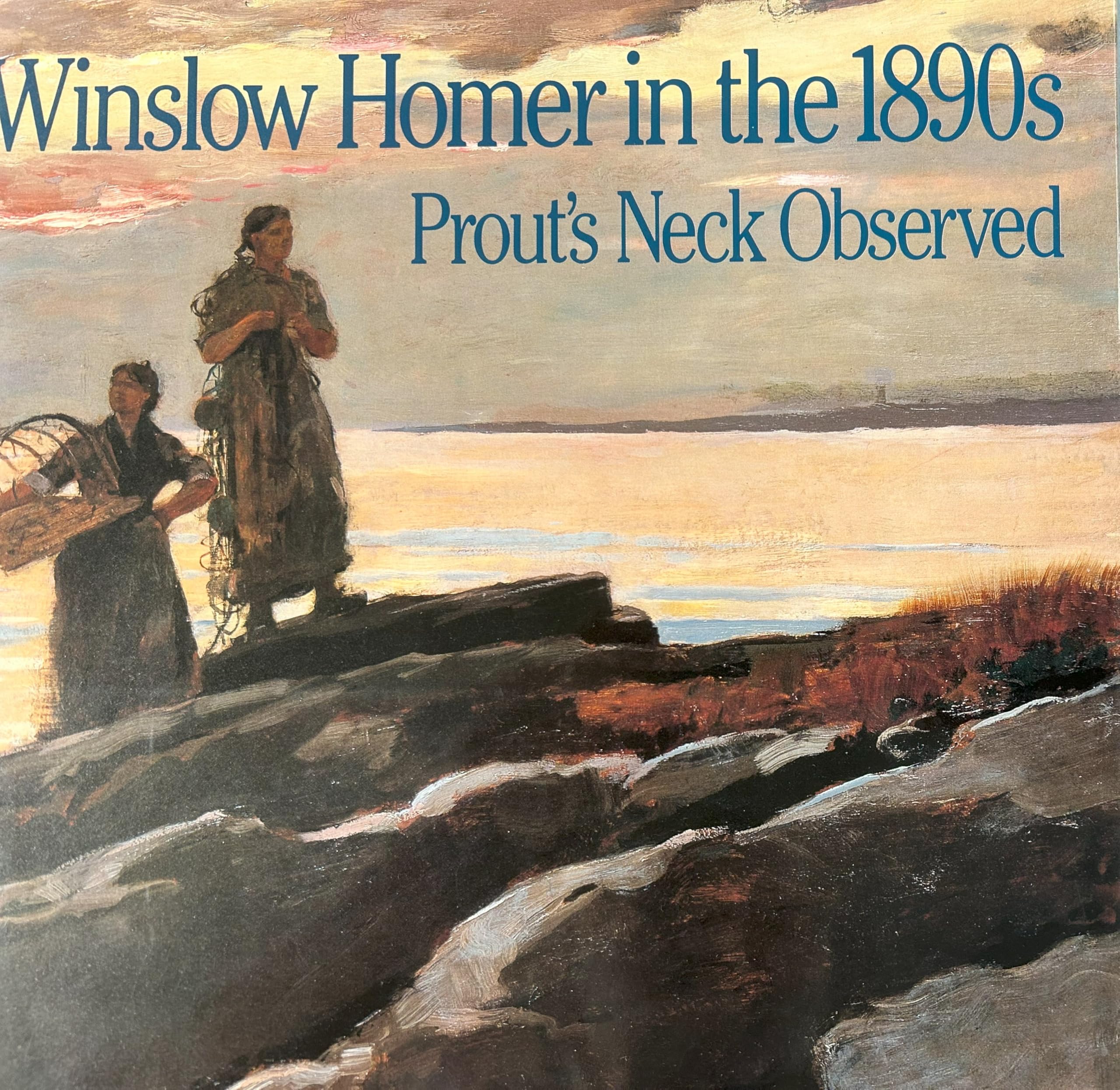 Winslow Homer in the 1890s: Prout's Neck Observed book