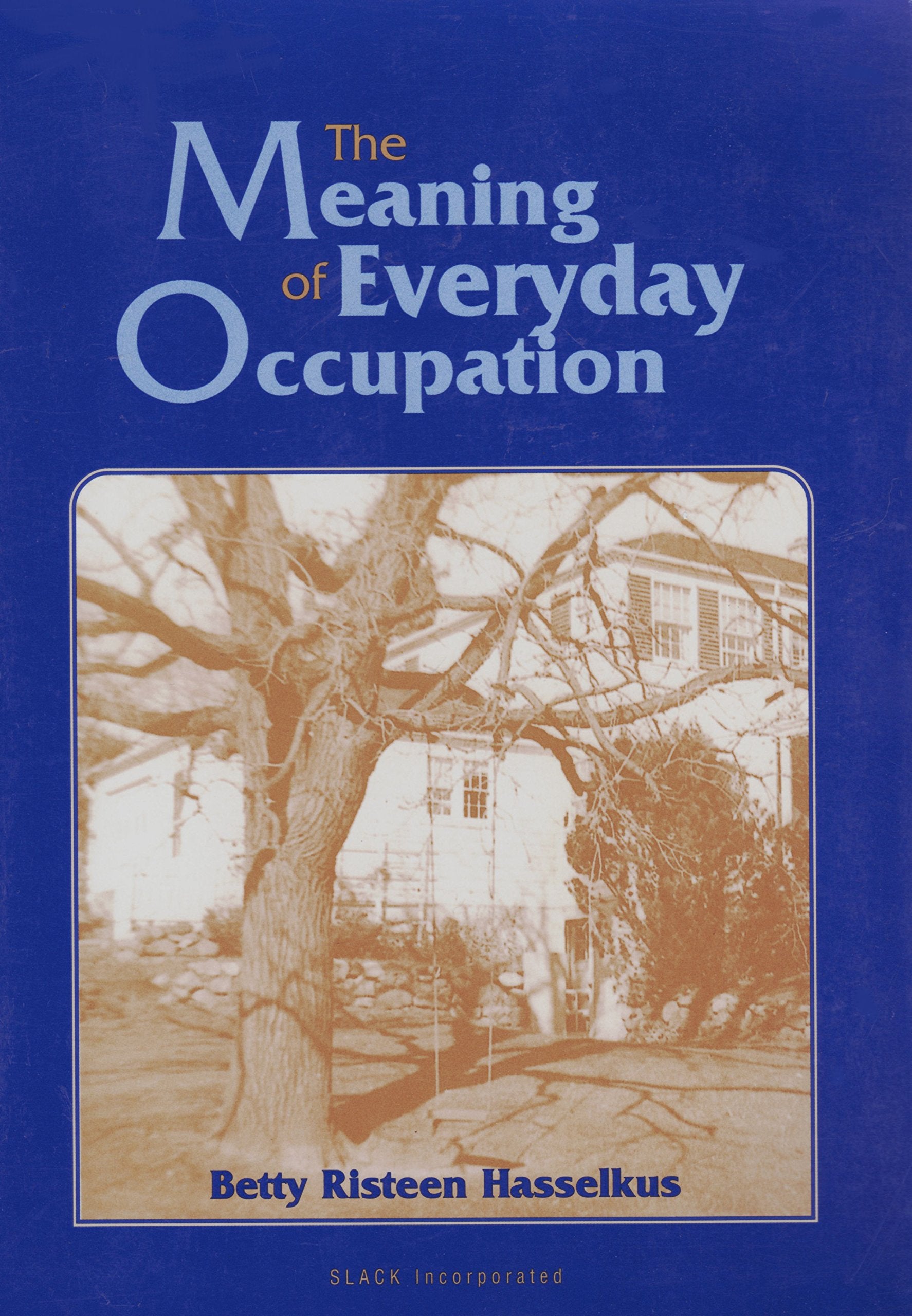 The Meaning of Everyday Occupation book