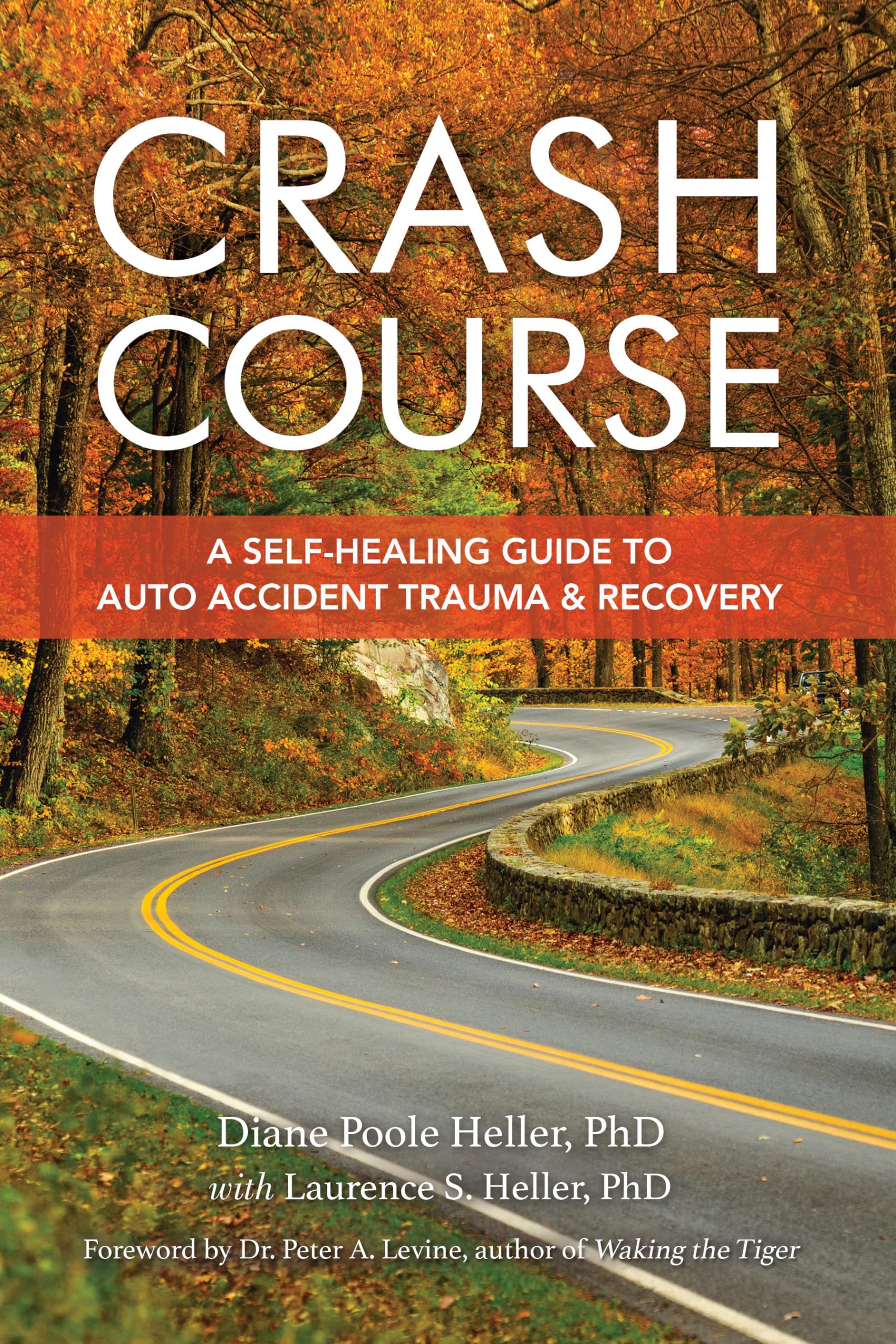 Crash Course: A Self-Healing Guide to Auto Accident Trauma and Recovery Medicine