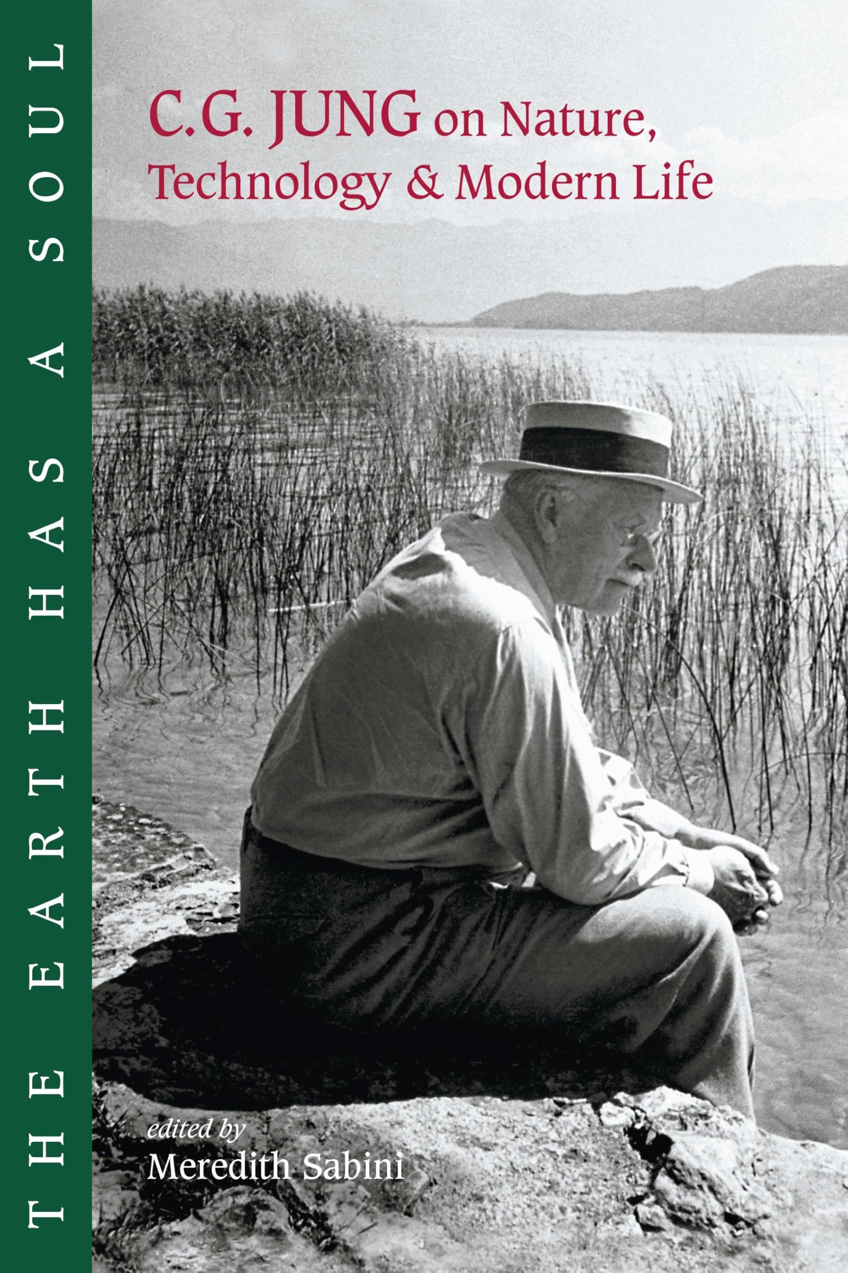 The Earth Has a Soul: C.G. Jung on Nature, Technology and Modern Life Philosophy
