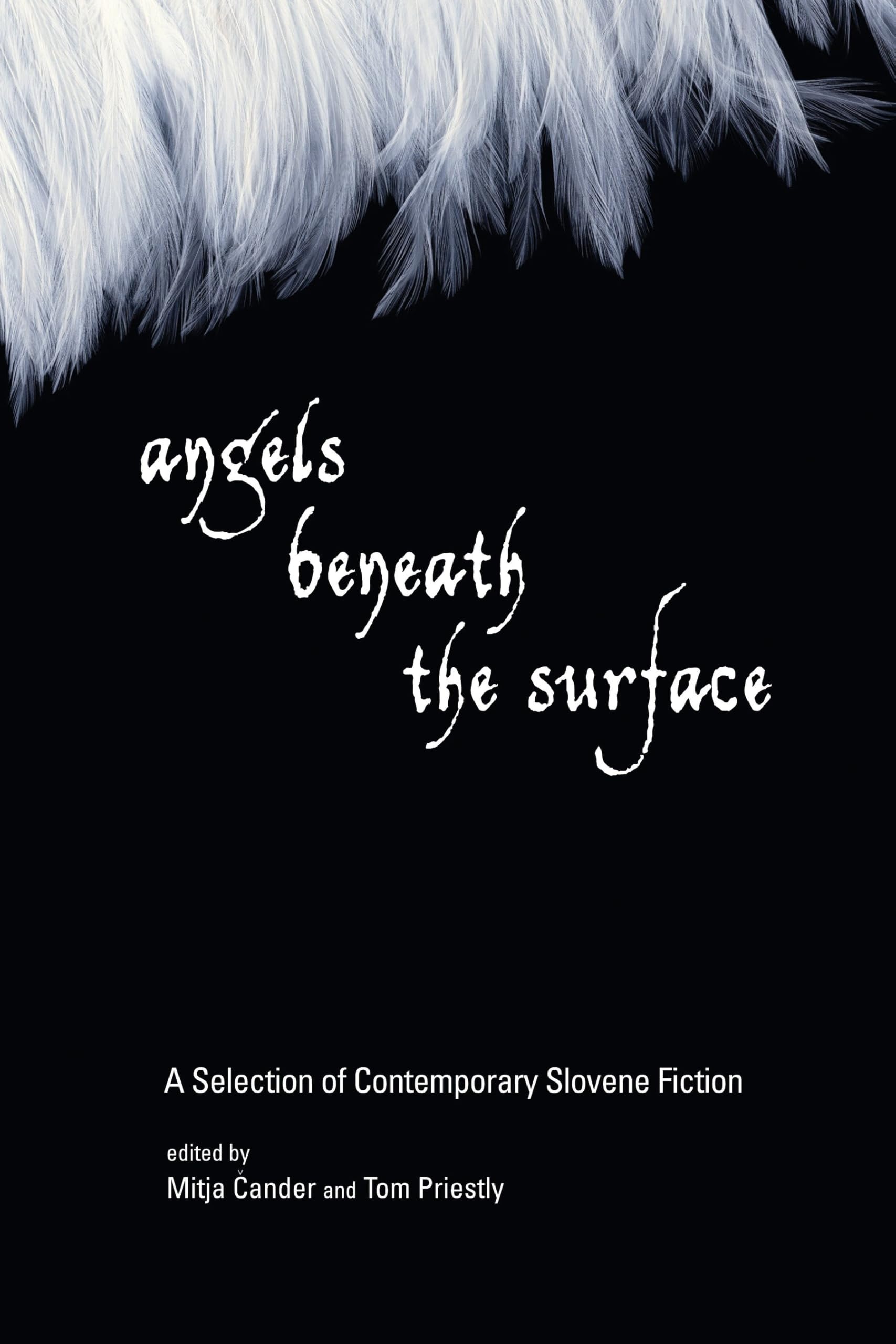 Angels Beneath the Surface: A Selection of Contemporary Slovene Fiction book