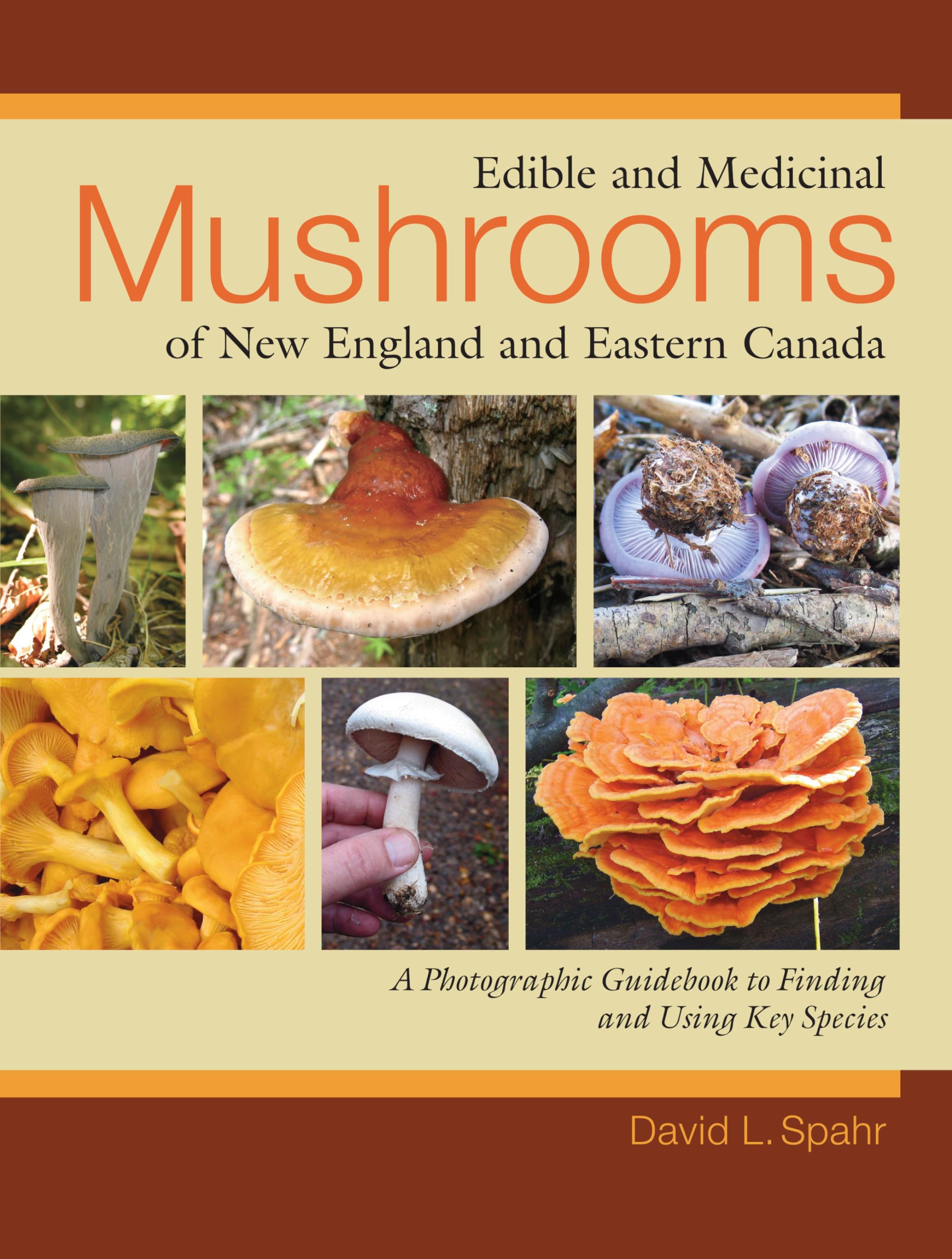 Edible and Medicinal Mushrooms of New England and Eastern Canada: A Photographic Guidebook to Finding and Using Key Species Mathematics