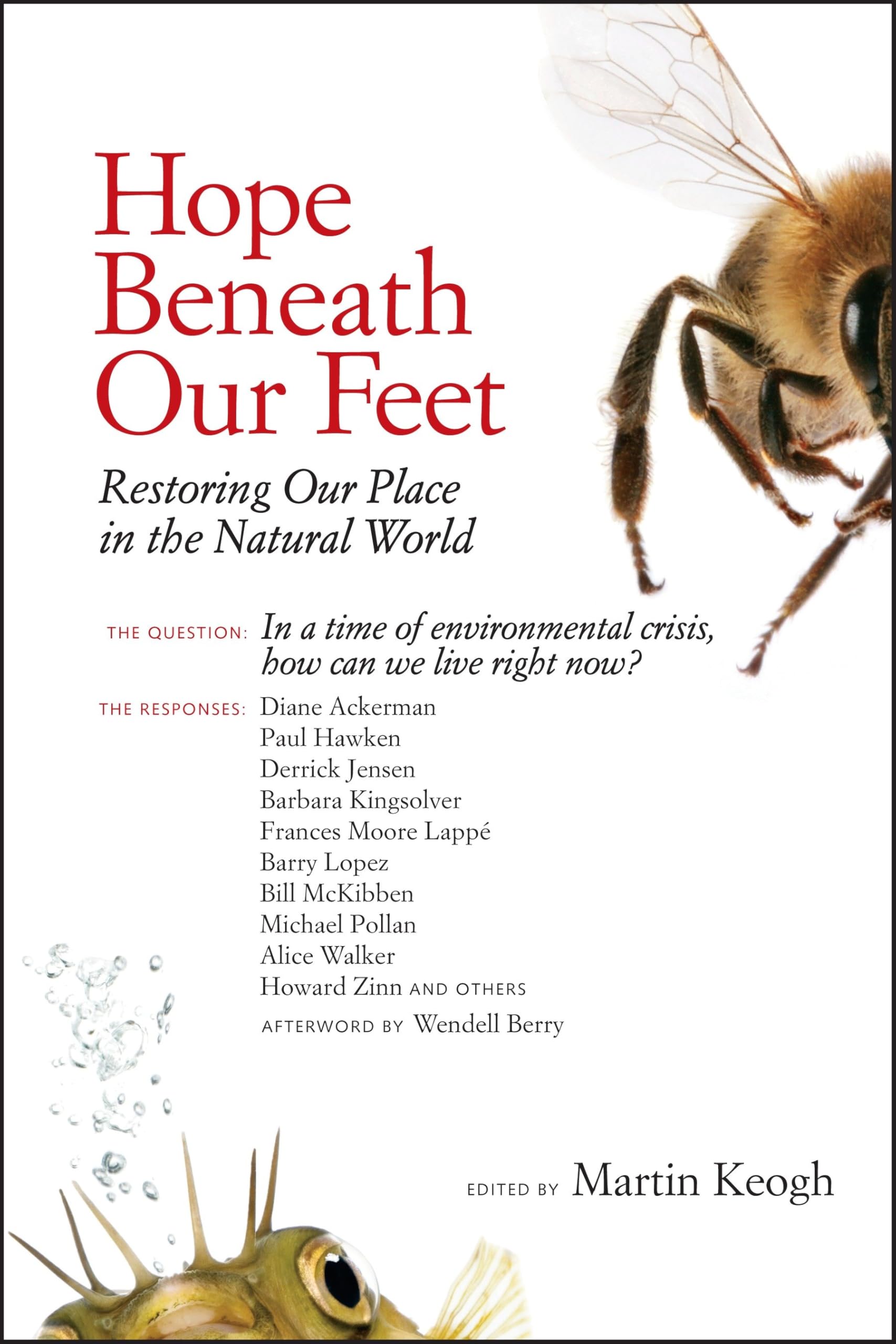Product Image: Hope Beneath Our Feet