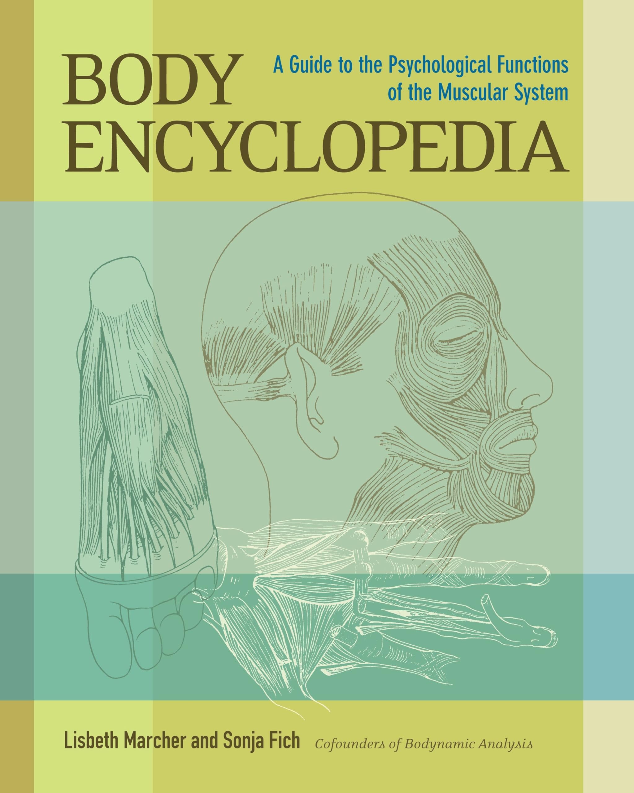 Product Image: Body Encyclopedia