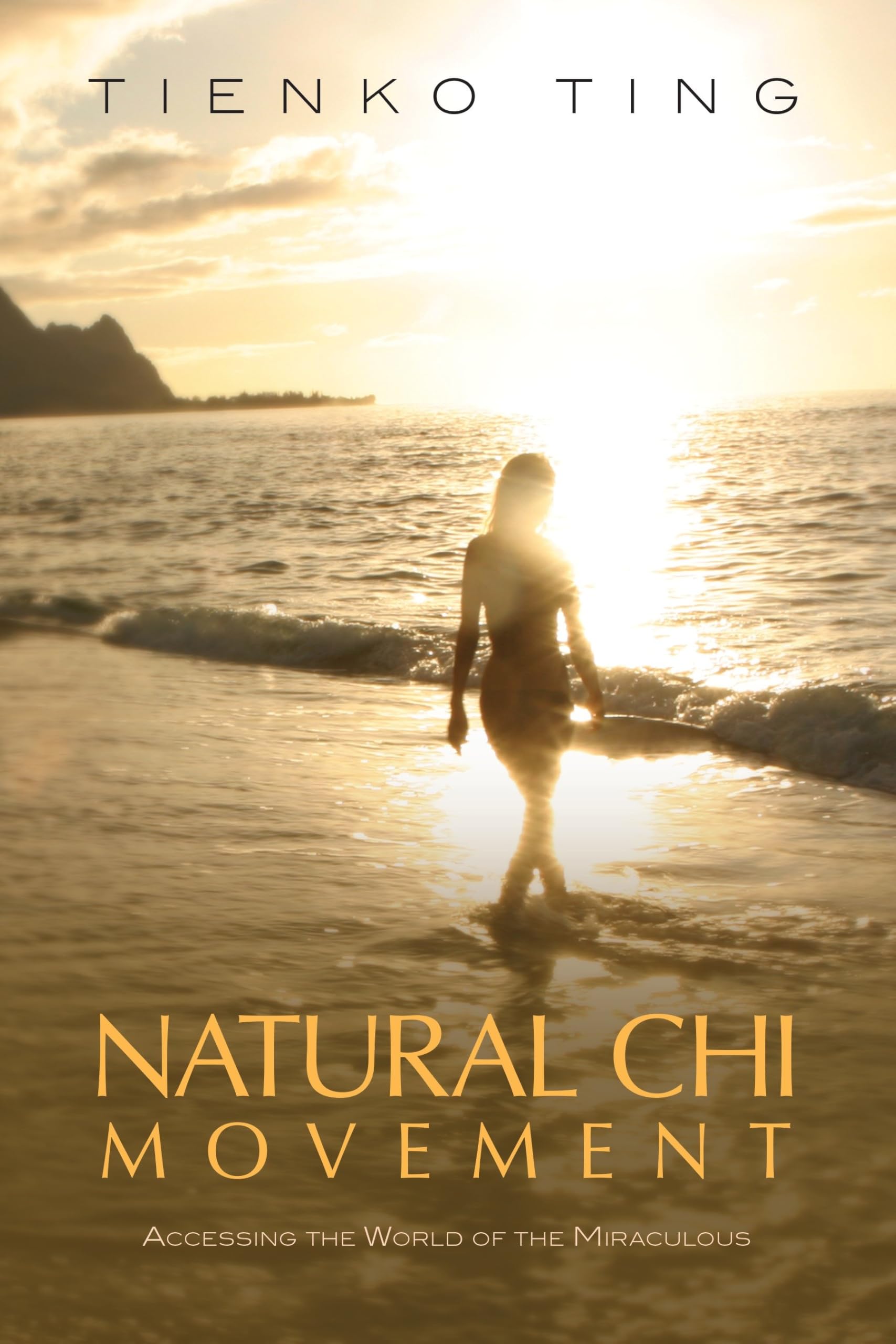 Natural Chi Movement: Accessing the World of the Miraculous Business, Finance & Career