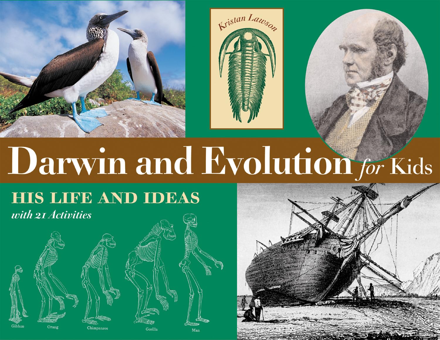 Product Image: Darwin and Evolution for Kids