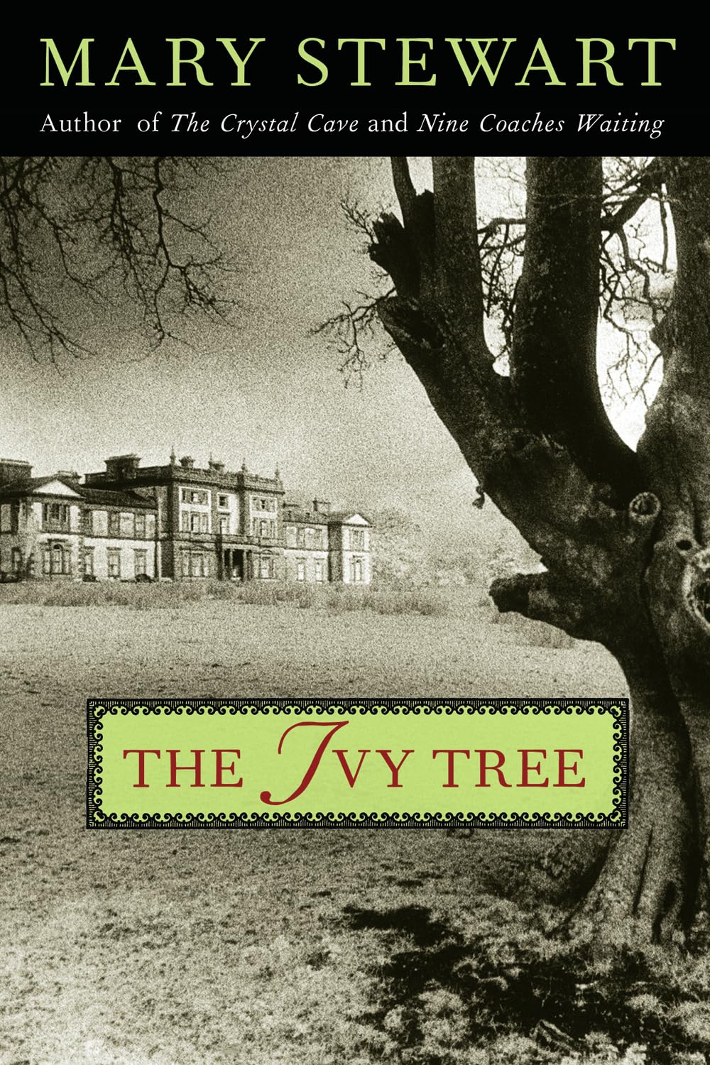 Product Image: The Ivy Tree