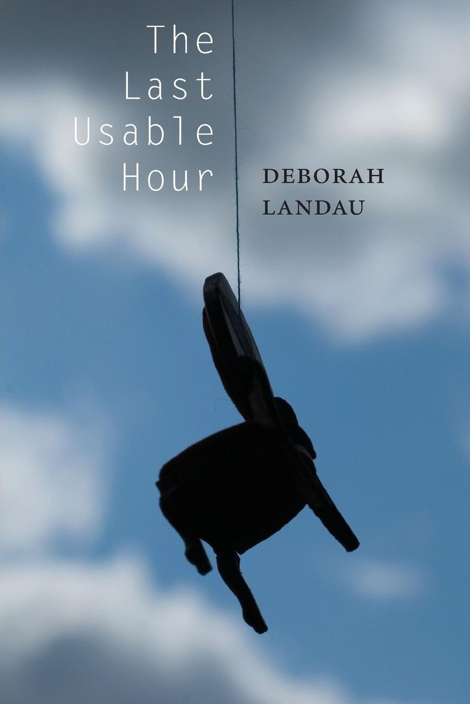 Product Image: The Last Usable Hour
