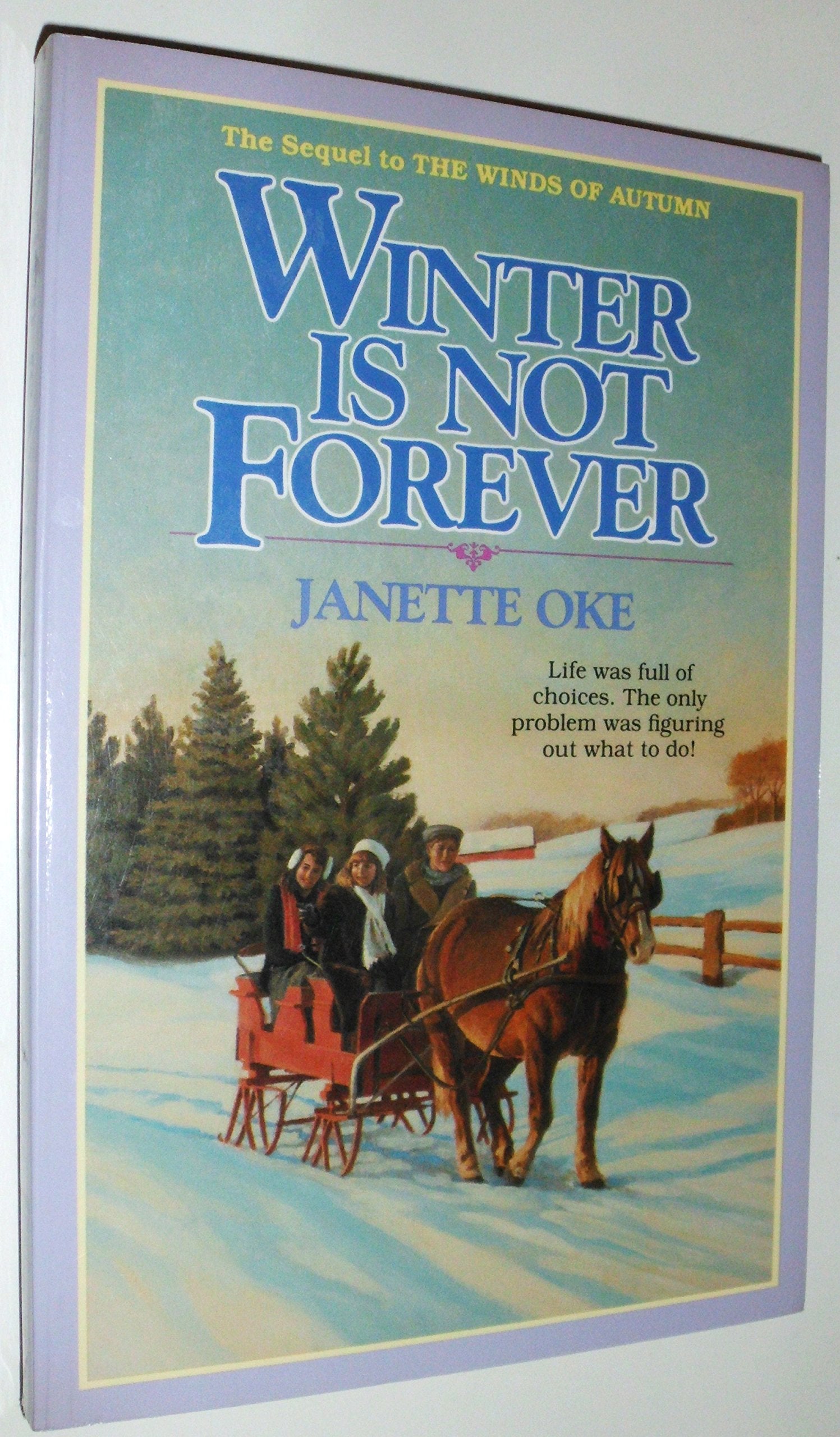 Winter Is Not Forever (Seasons of the Heart, Band 3) Contemporary literature