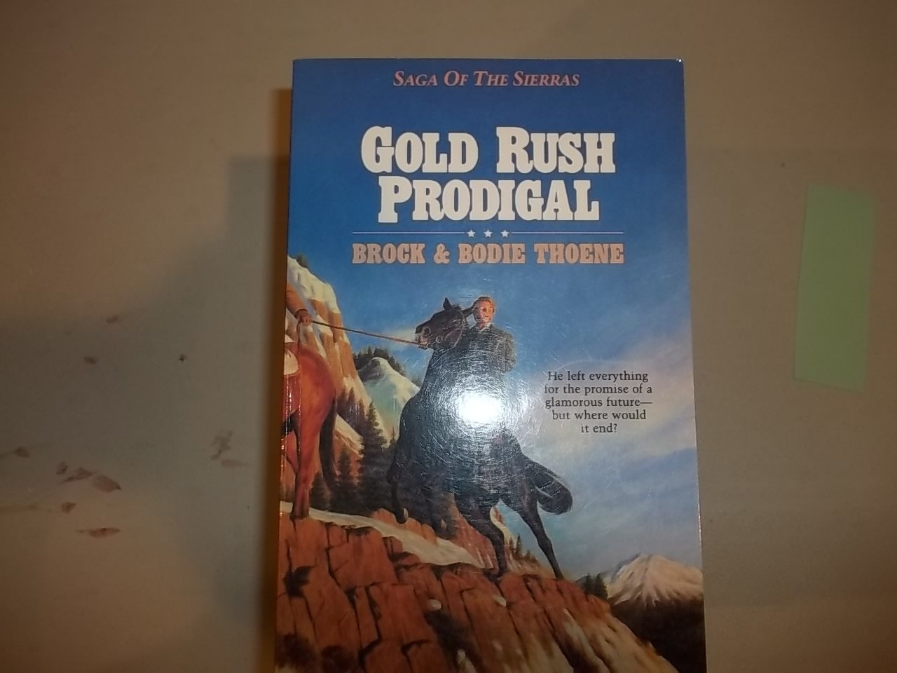 Gold Rush Prodigal (Saga of the Sierras, Band 3) Contemporary literature