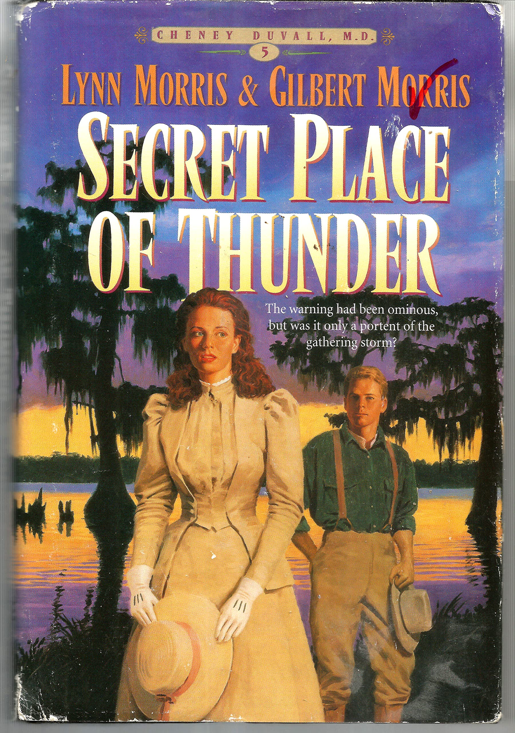 Secret Place of Thunder (Cheney Duvall, M. D., 5, Band 5) Contemporary literature