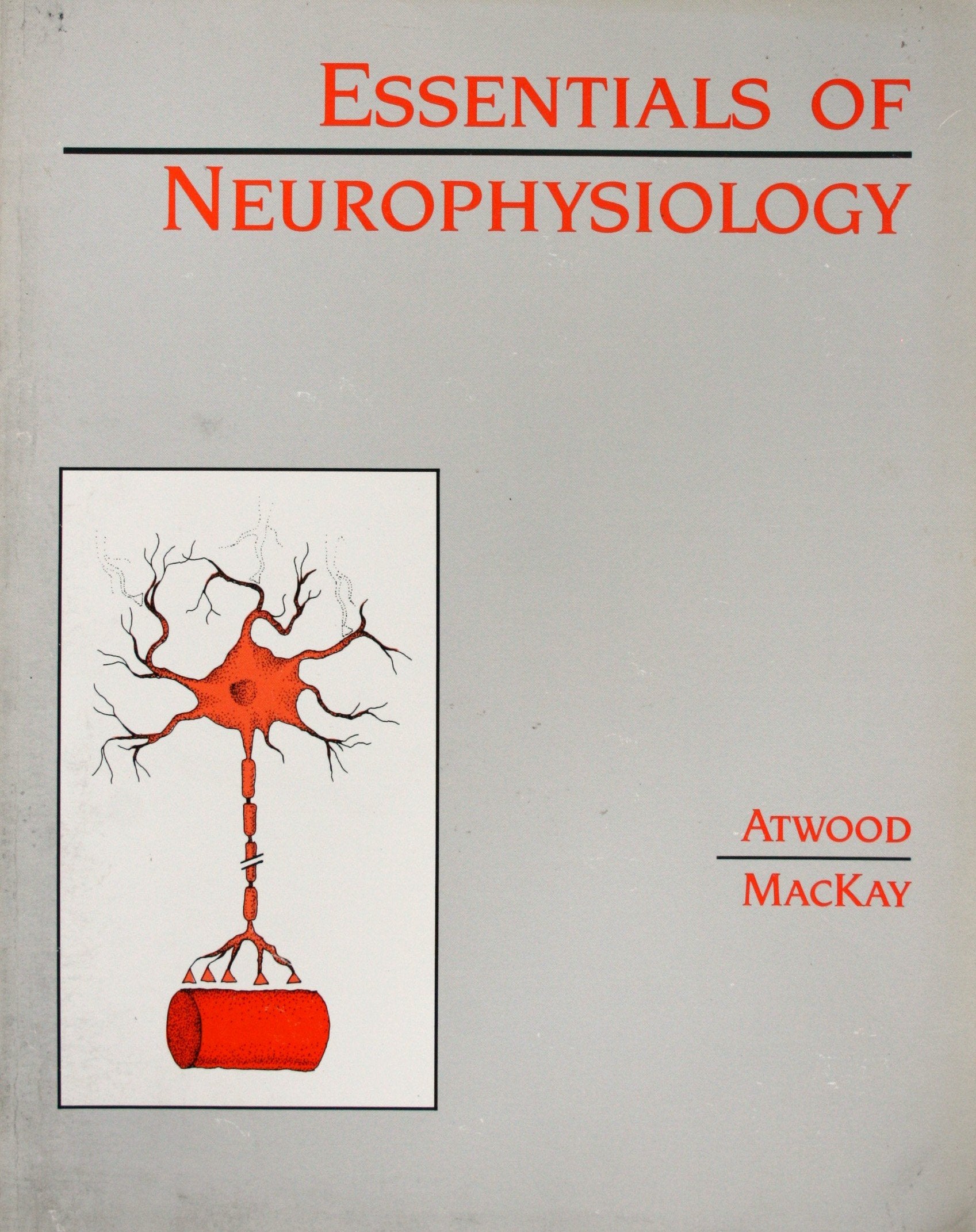 Essentials of Neurophysiology Medicine