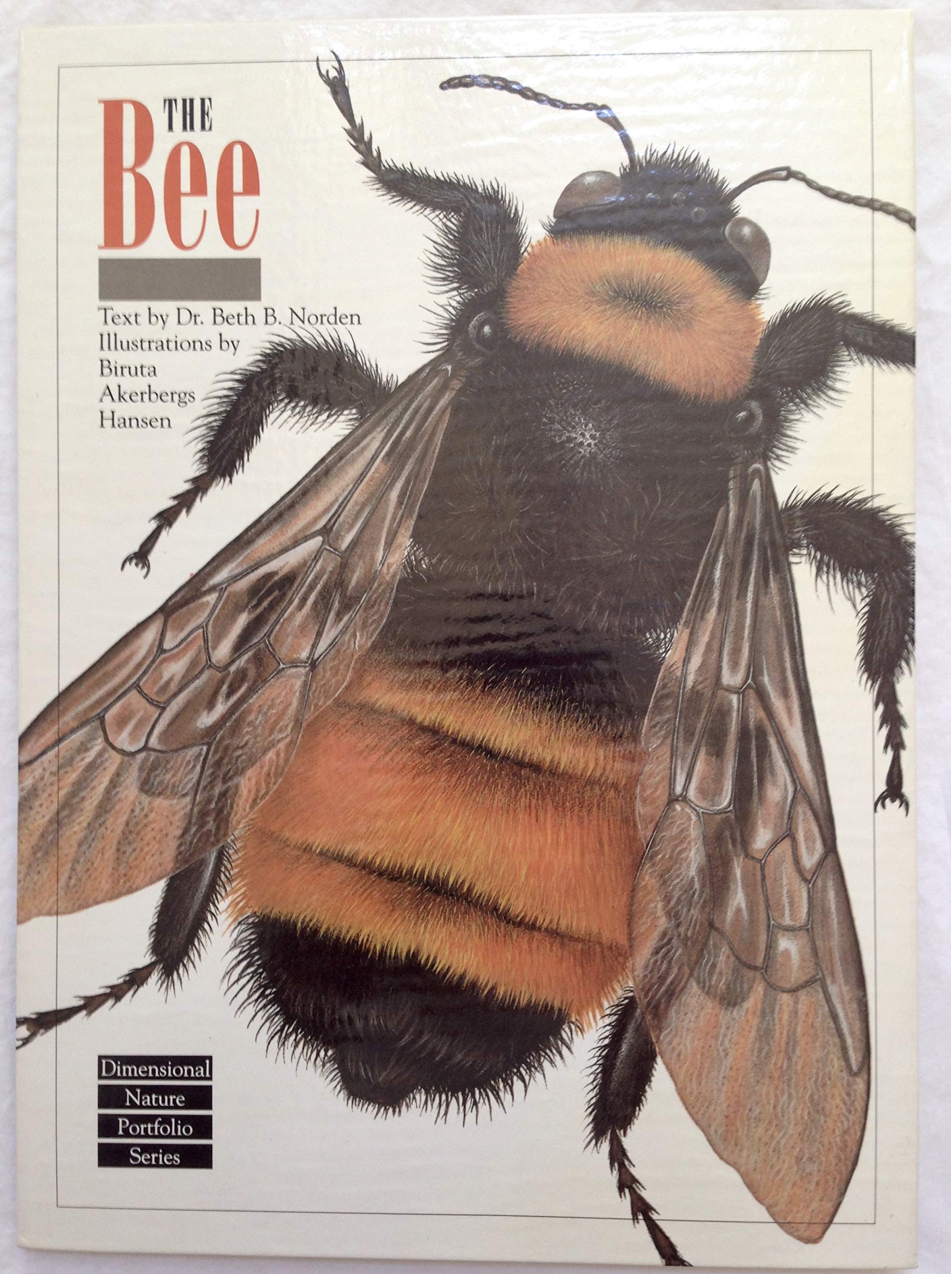 The Bee (Dimensional Nature Portfolio Series) Natural Sciences