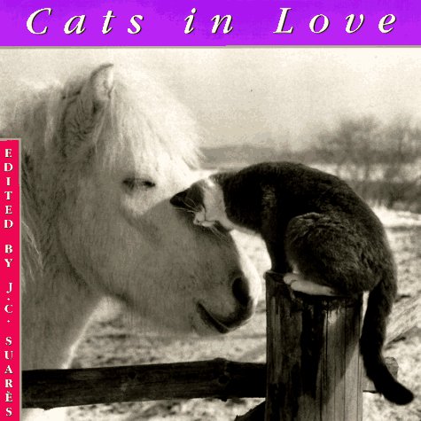 Cats in Love Pets