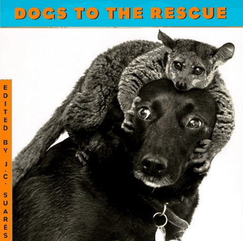 Dogs to the Rescue Pets