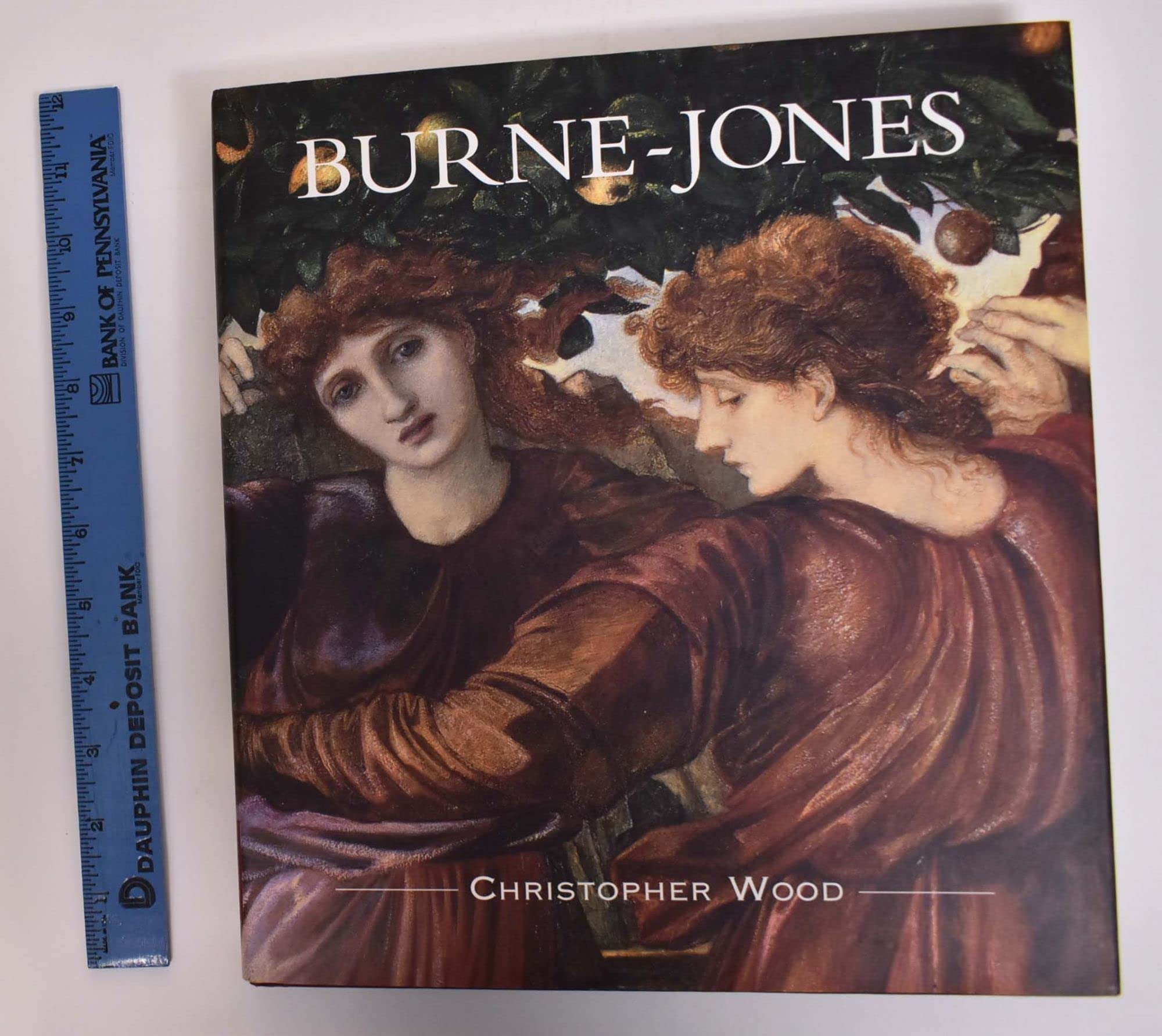 Burne-Jones: The Life and Works of Sir Edward Burne-Jones (1833-1898) Film, Art & Culture
