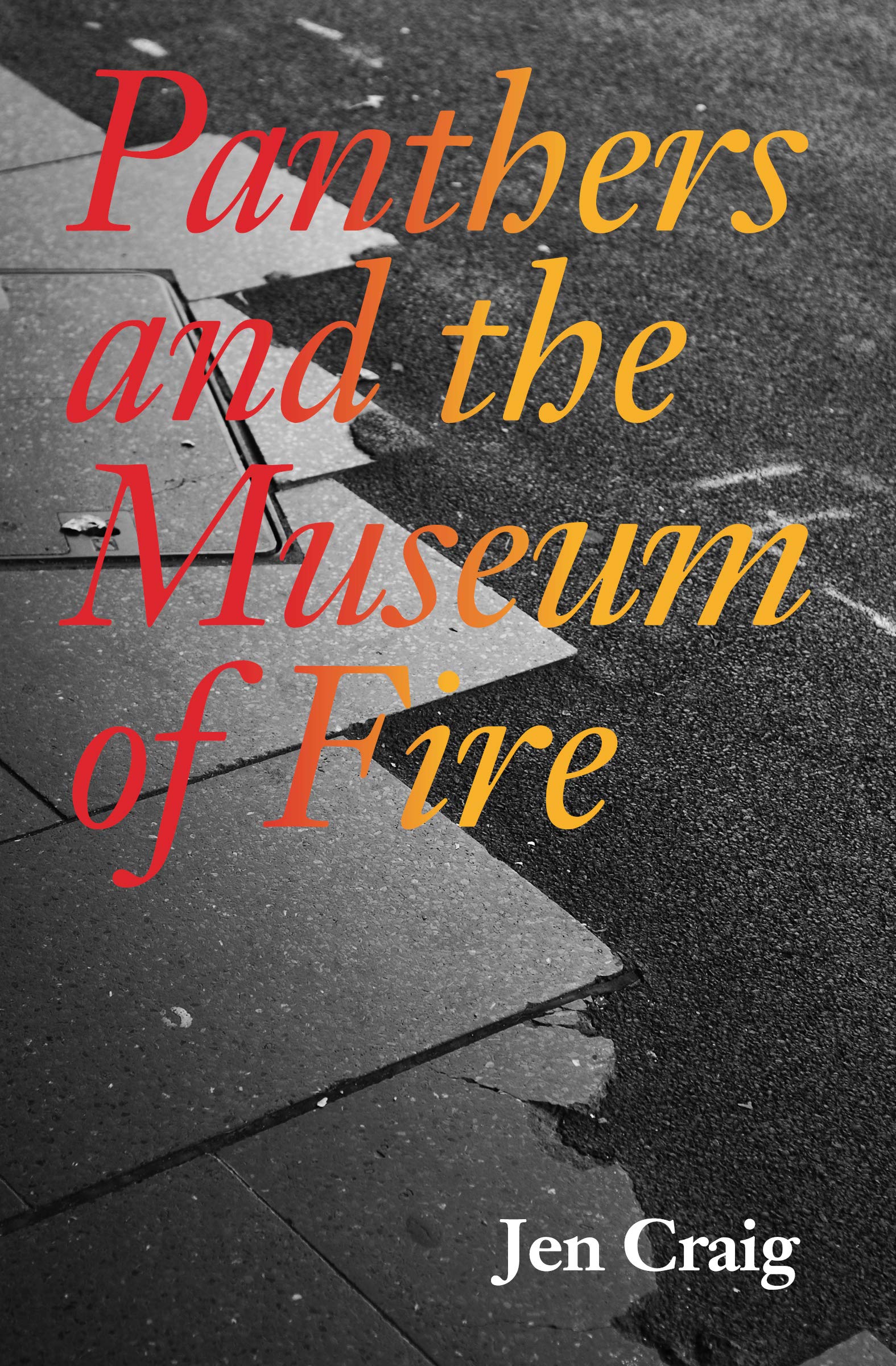 Panthers and the Museum of Fire Social Sciences