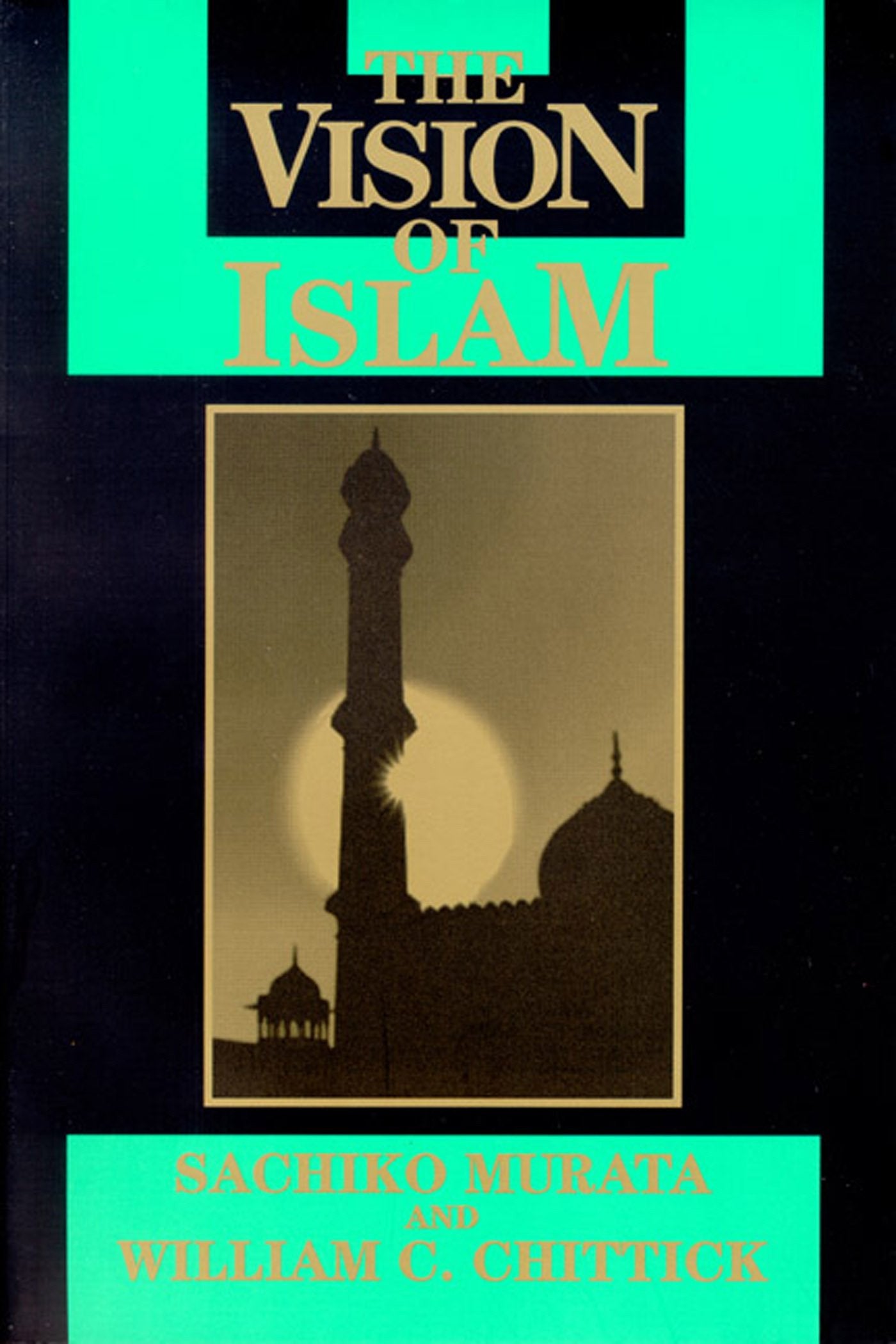 Product Image: Vision of Islam
