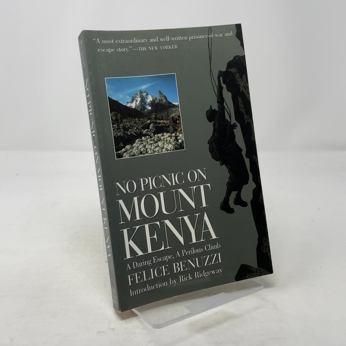 No Picnic on Mount Kenya: A Daring Escape, a Perilous Climb Memories