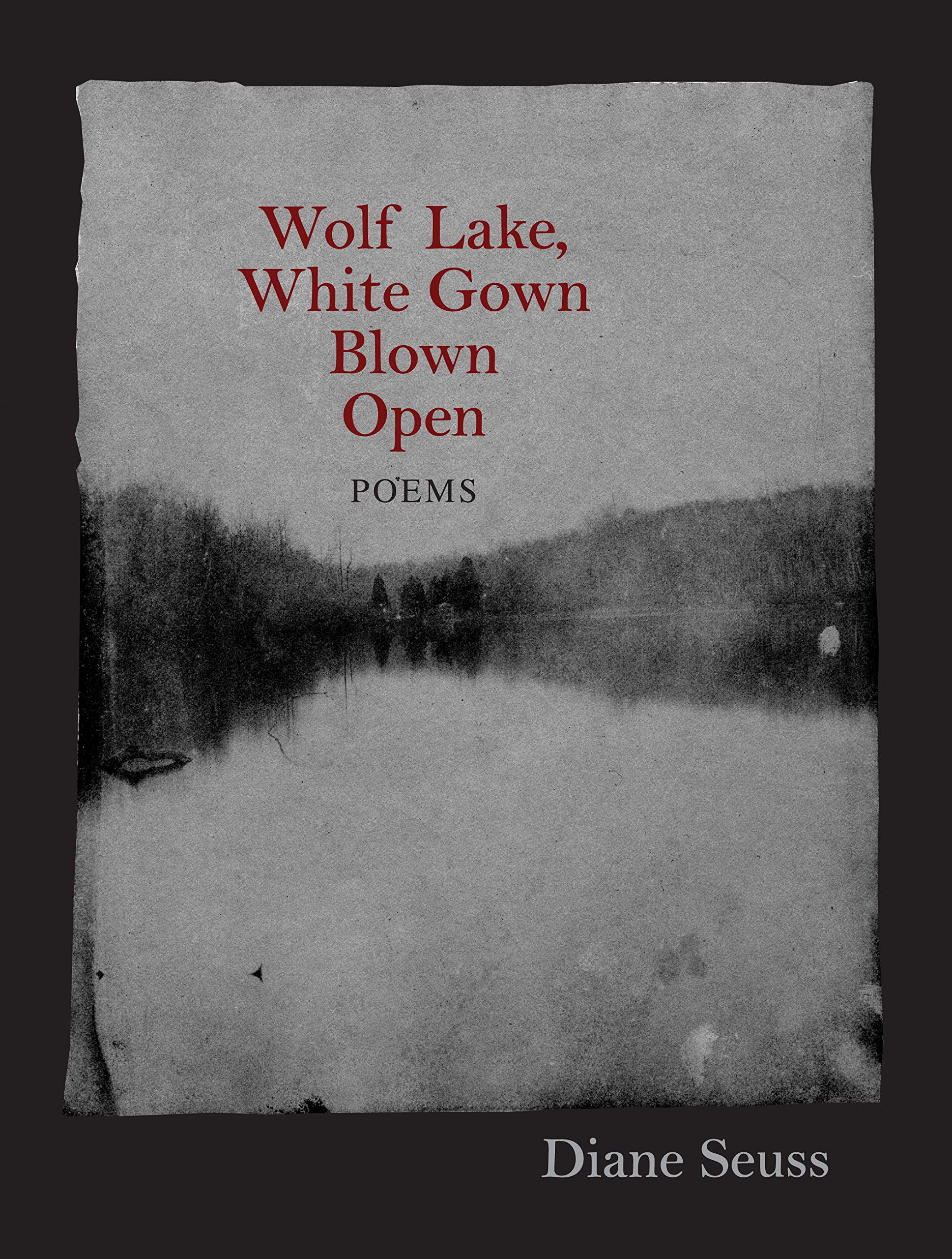 Wolf Lake, White Gown Blown Open: Poems (Juniper Prize for Poetry) Poetry