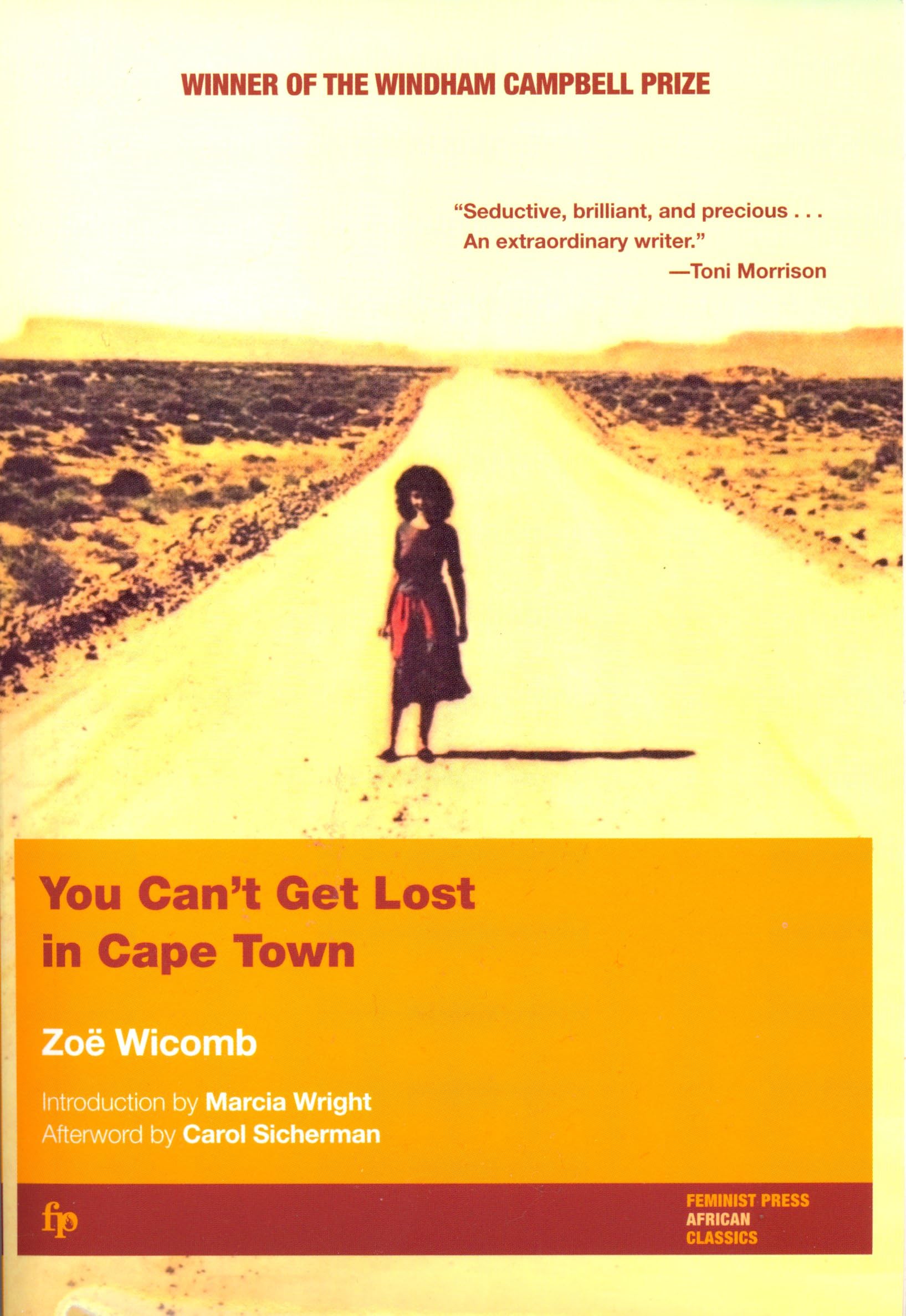 You Can't Get Lost in Cape Town (Women Writing Africa) Social Sciences