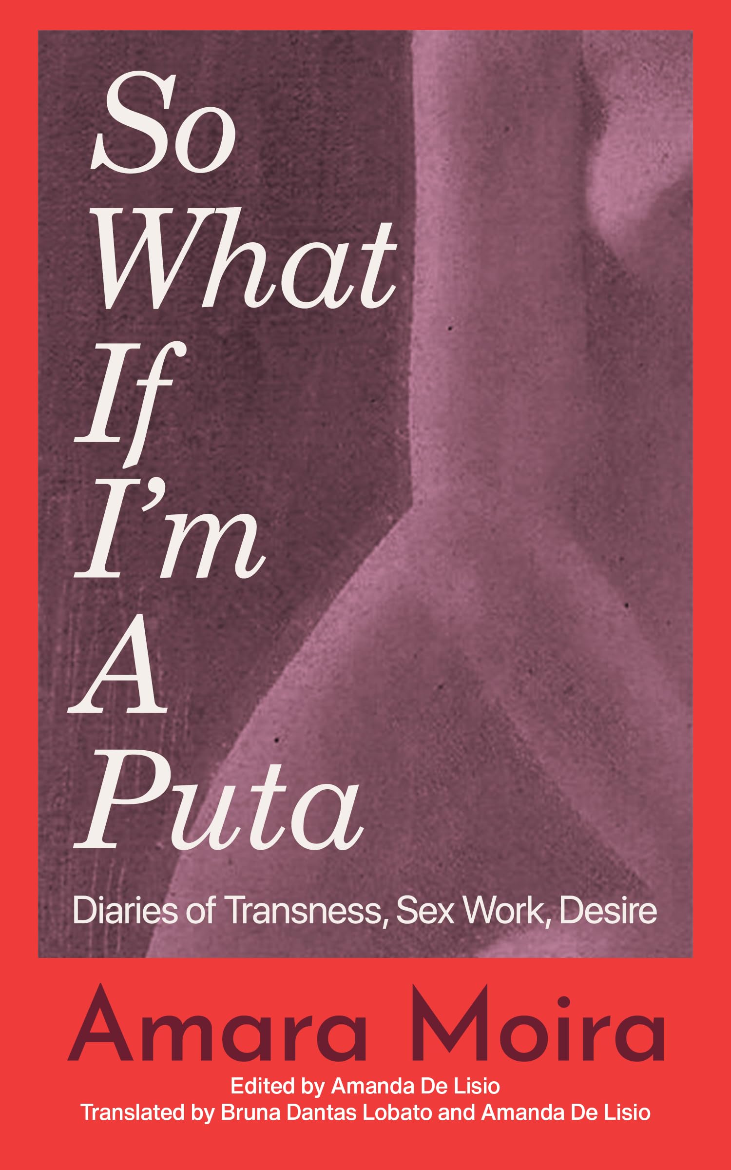 (So What) If I’m a Puta?: Travesti Diaries Books