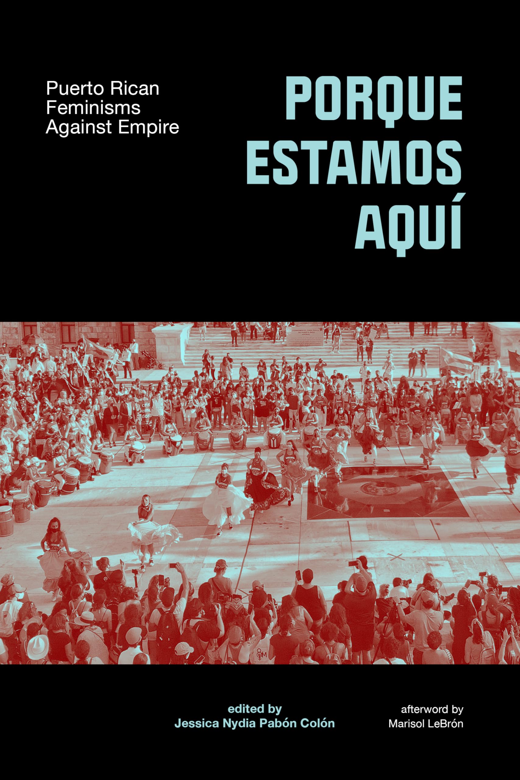 Porque Estamos Aquí: Puerto Rican Feminisms Against Empire Books