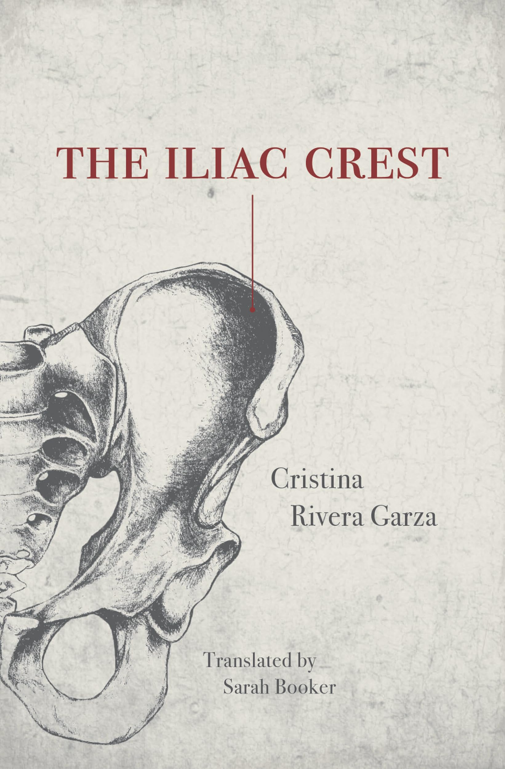 Product Image: The Iliac Crest