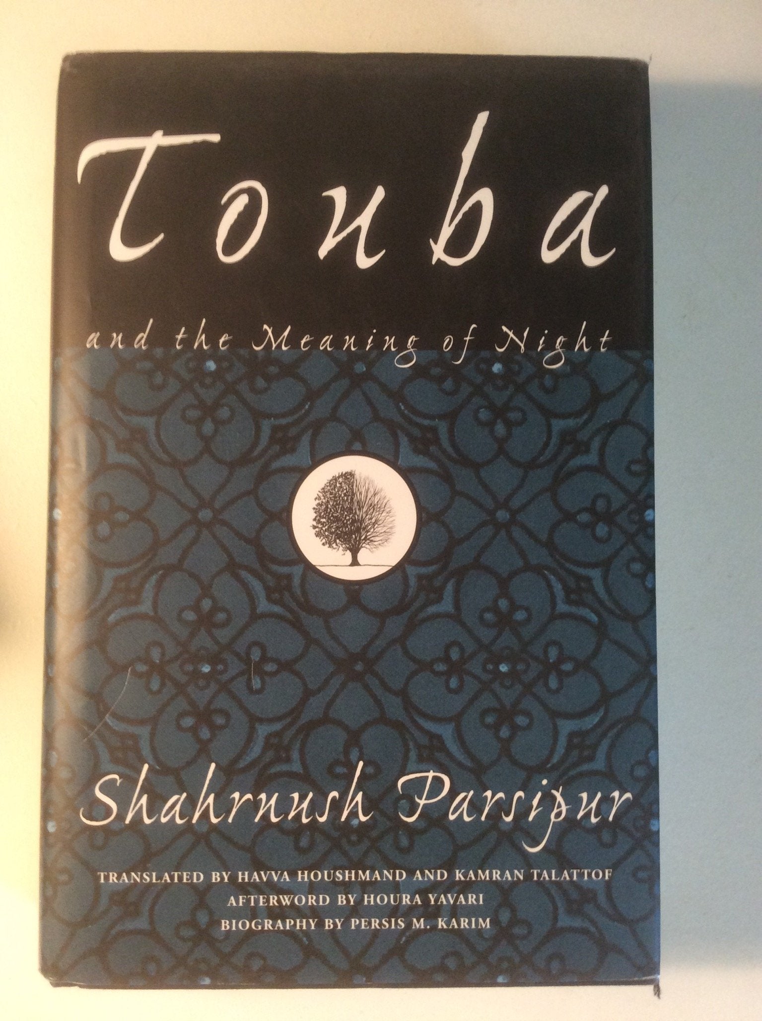Touba and the Meaning of Night (Women Writing the Middle East) Social Sciences