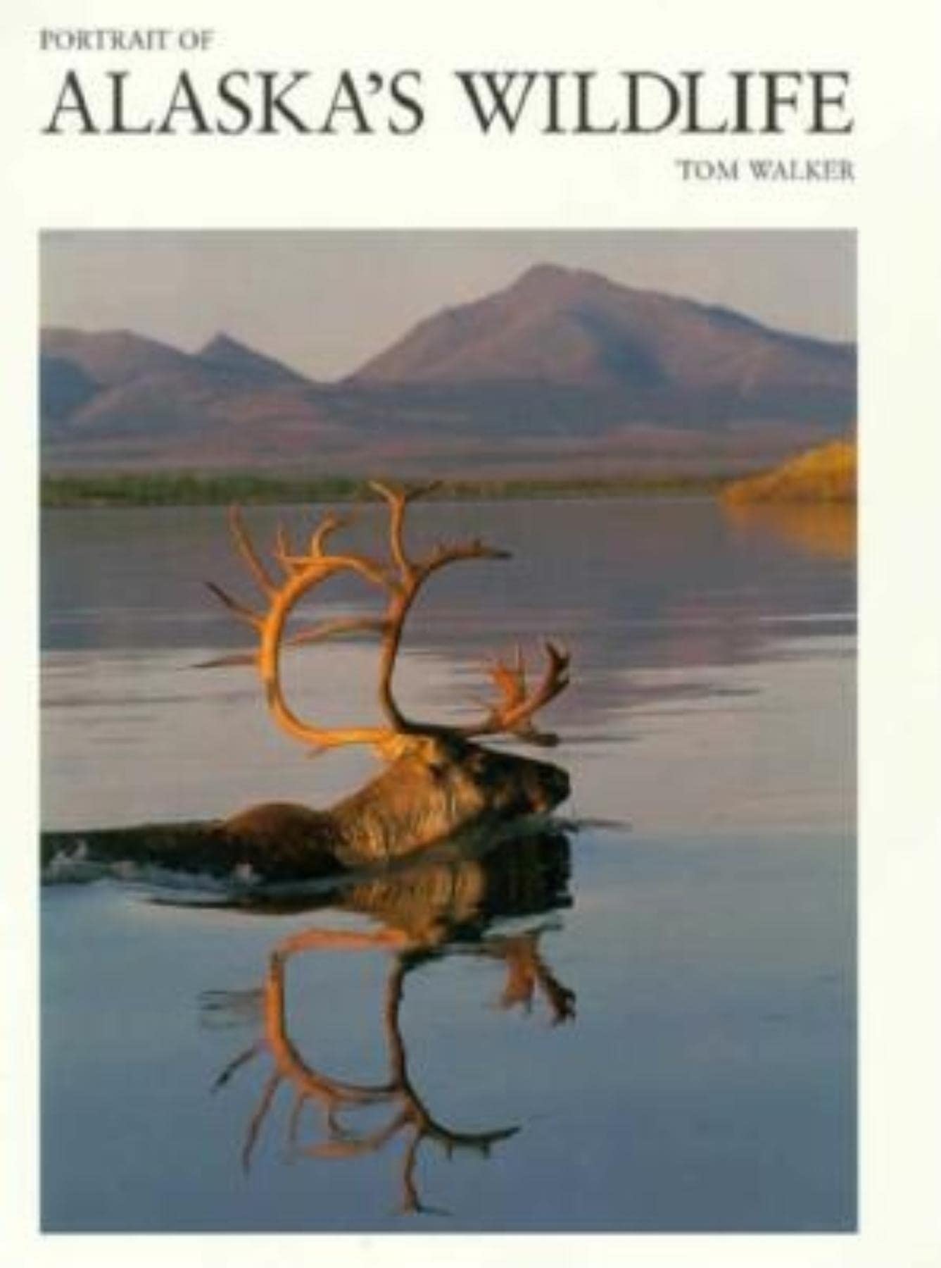 Portrait of Alaska's Wildlife (Portrait Series) Photography
